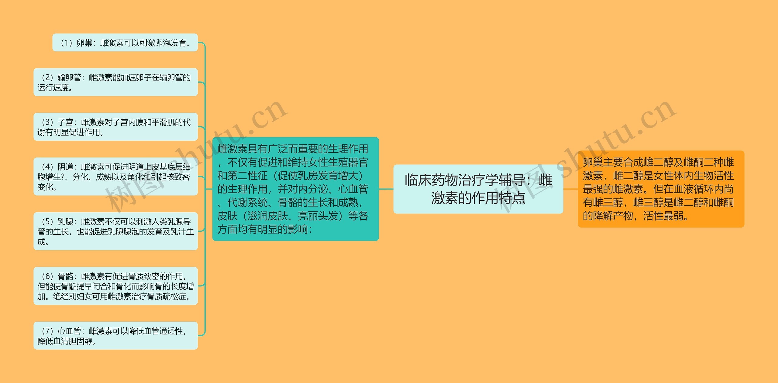 临床药物治疗学辅导：雌激素的作用特点思维导图