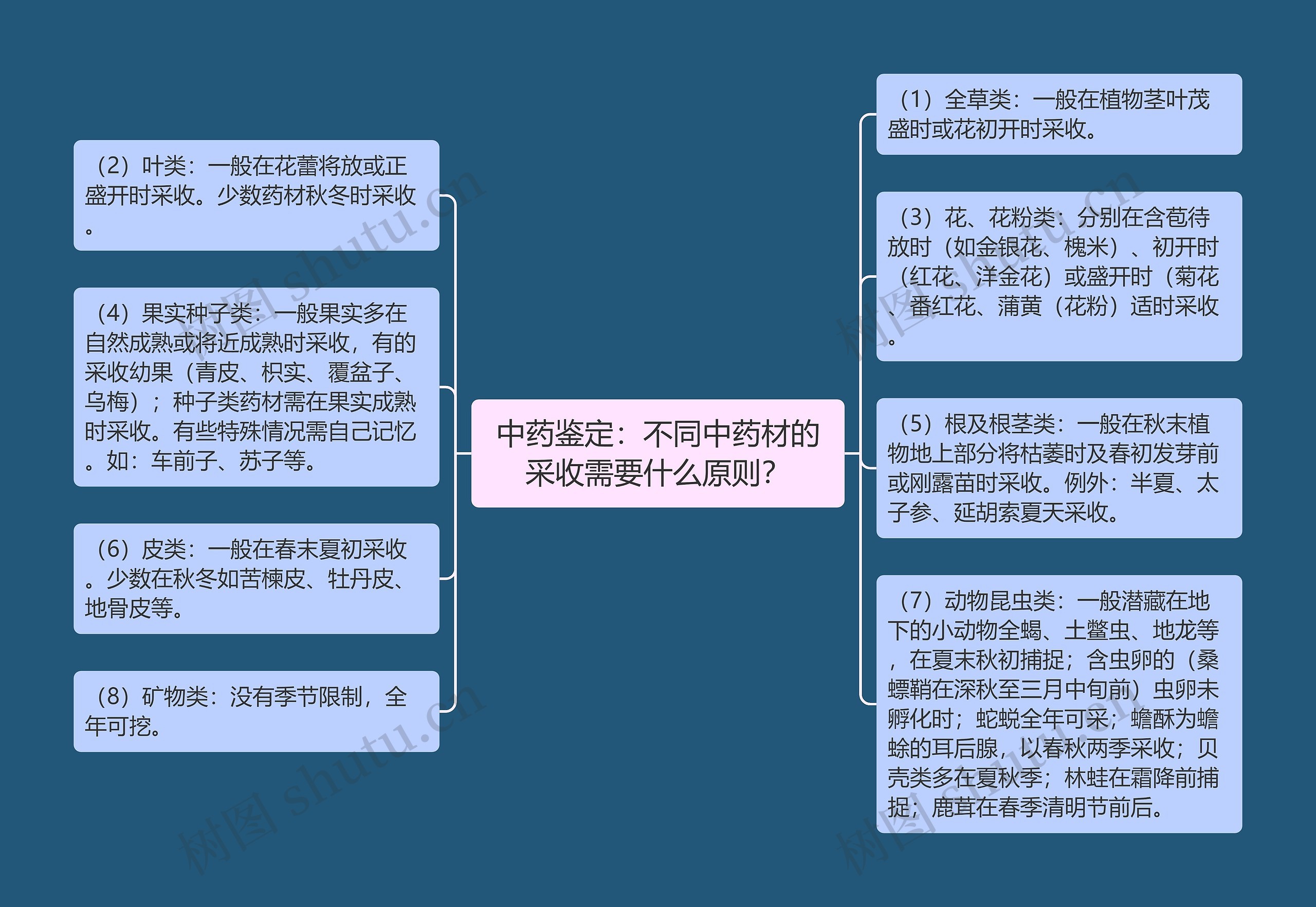 中药鉴定：不同中药材的采收需要什么原则？思维导图