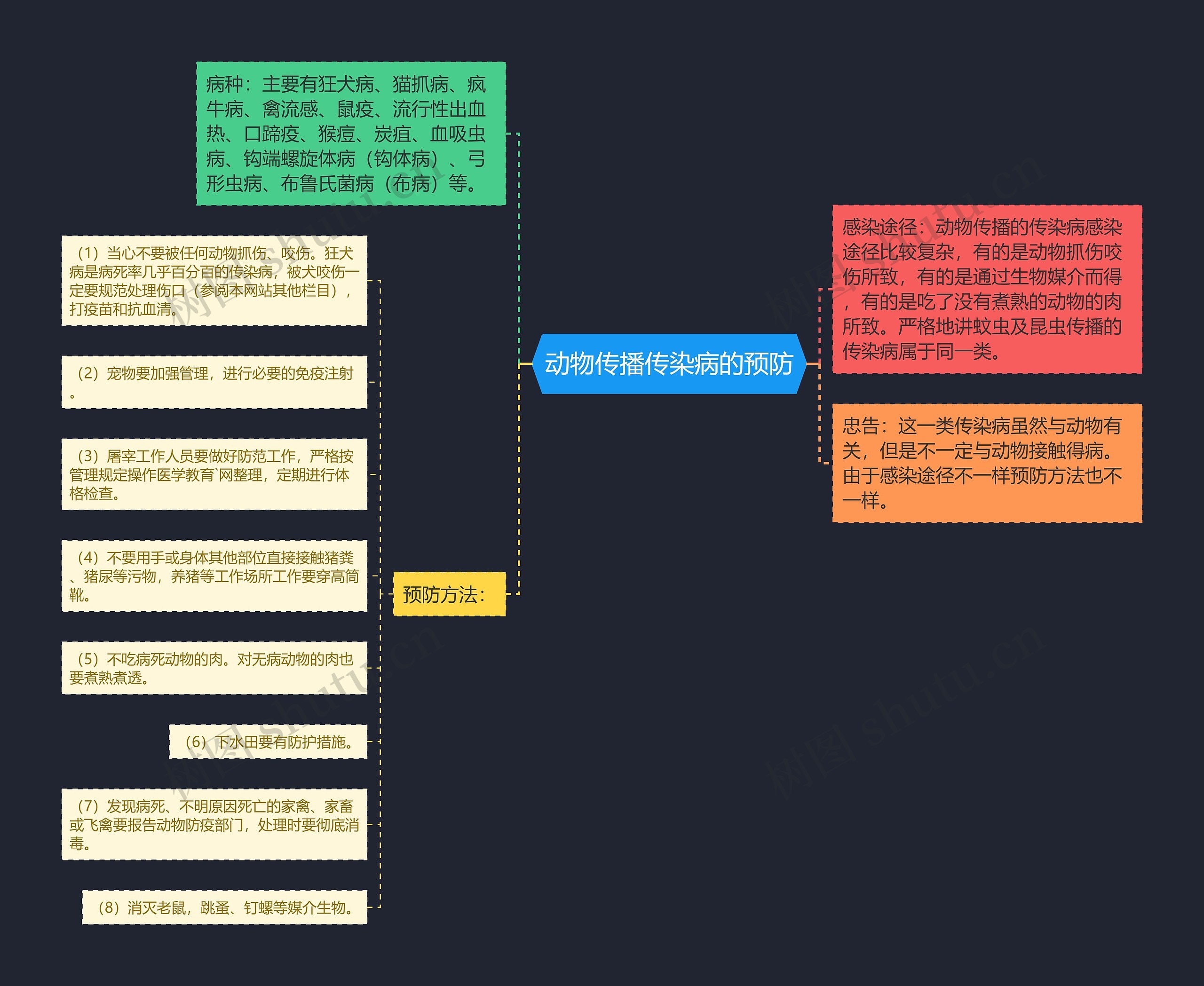 动物传播传染病的预防思维导图