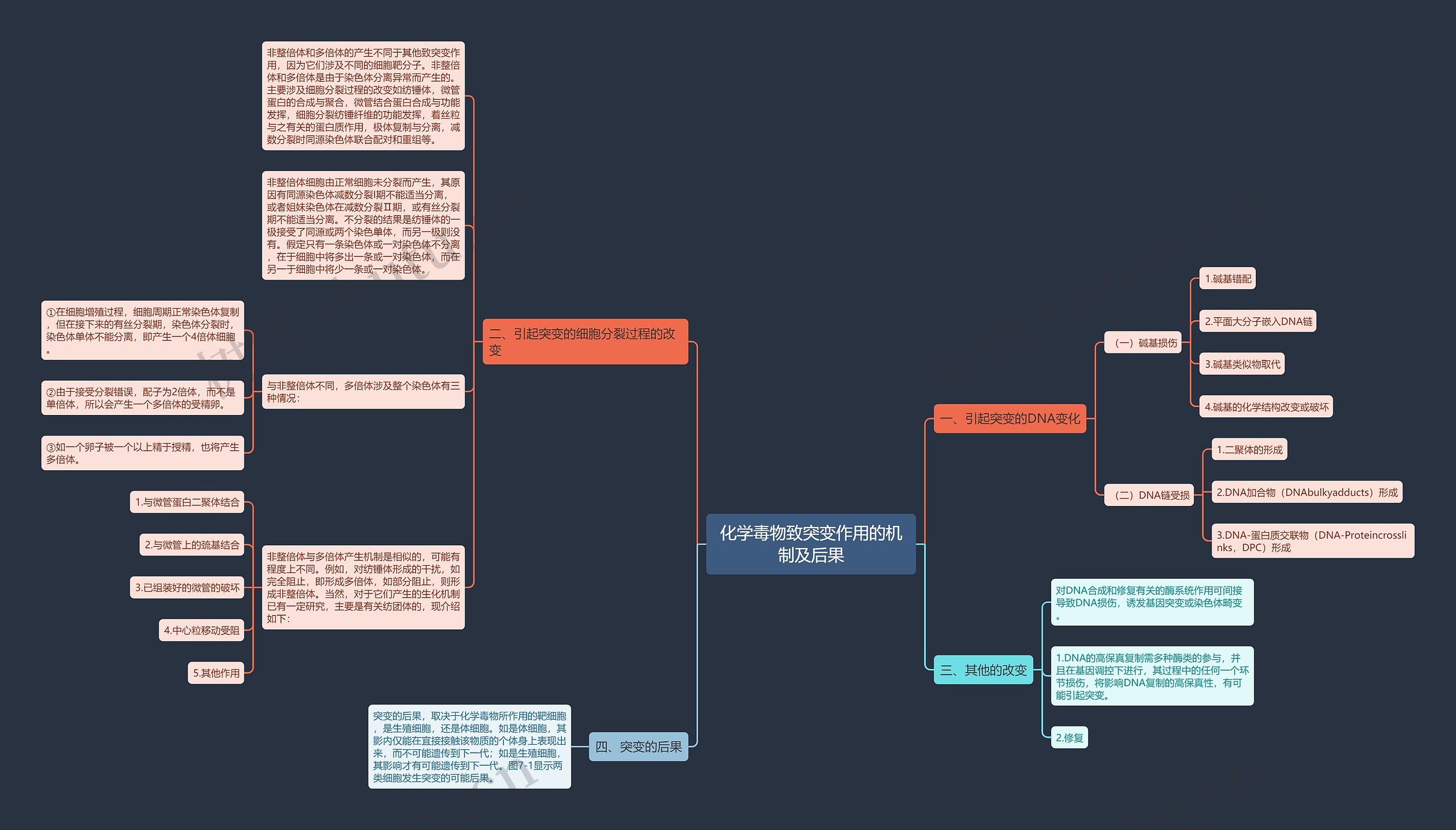 化学毒物致突变作用的机制及后果思维导图