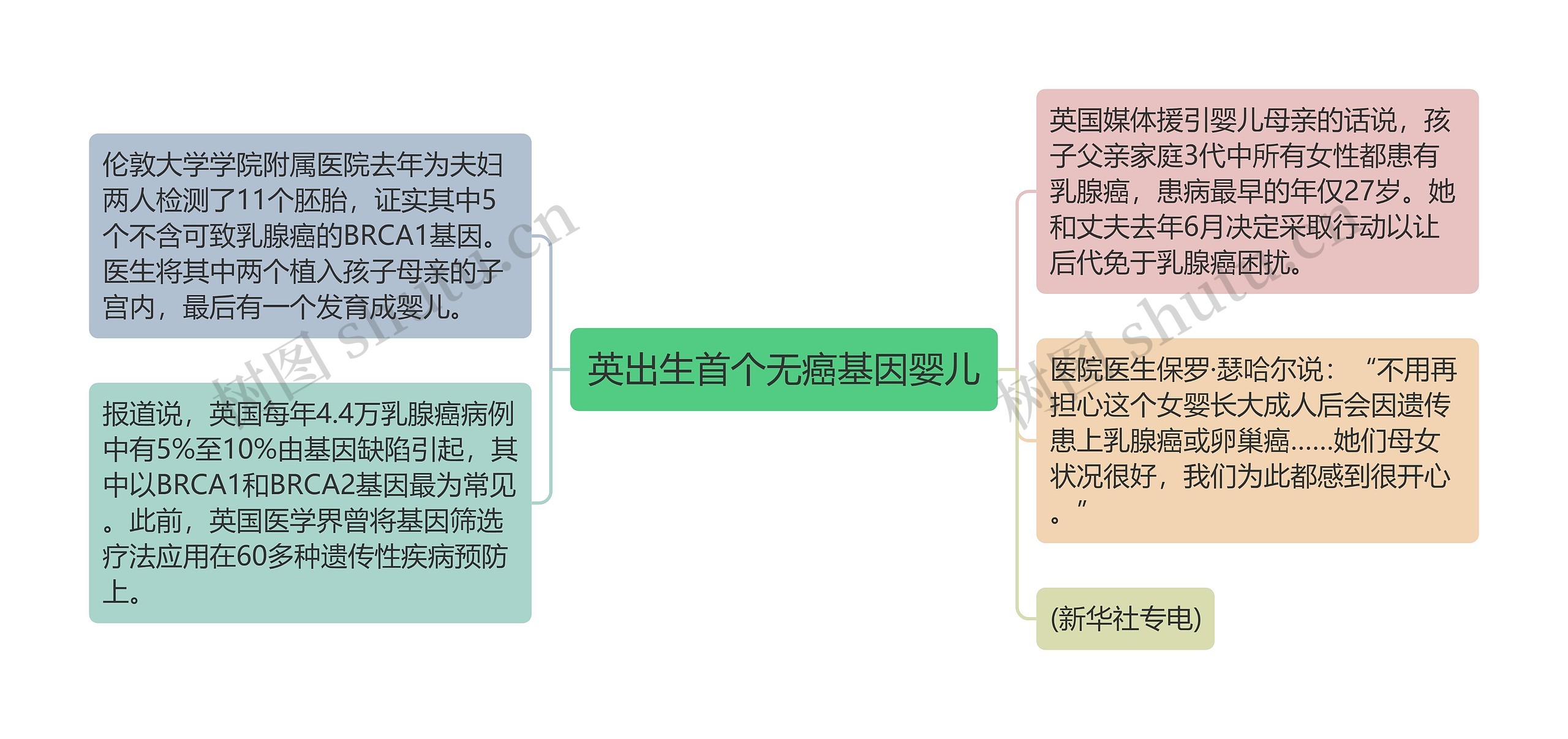 英出生首个无癌基因婴儿思维导图