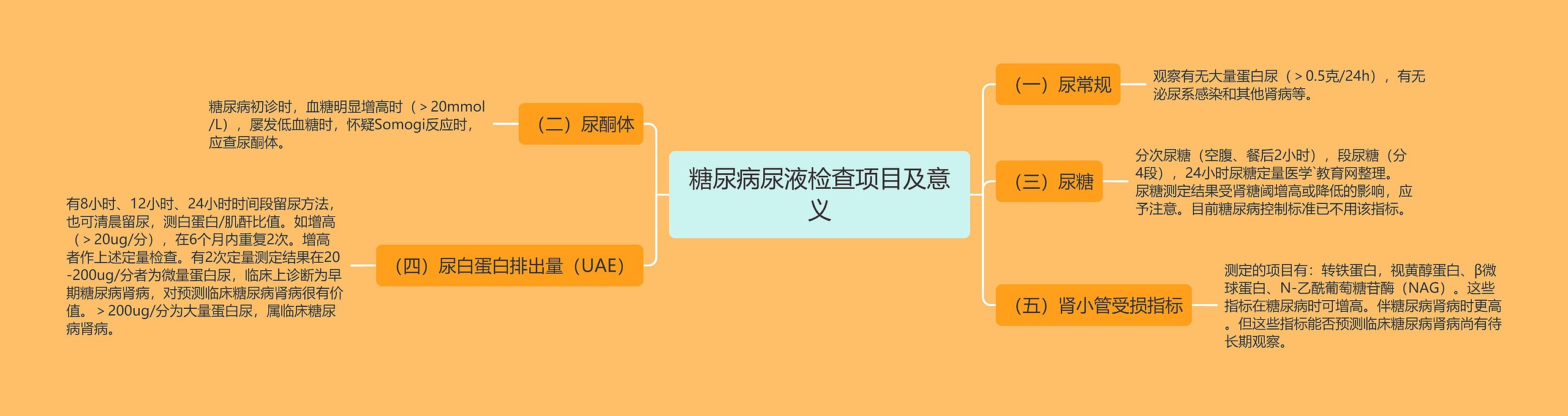 糖尿病尿液检查项目及意义思维导图