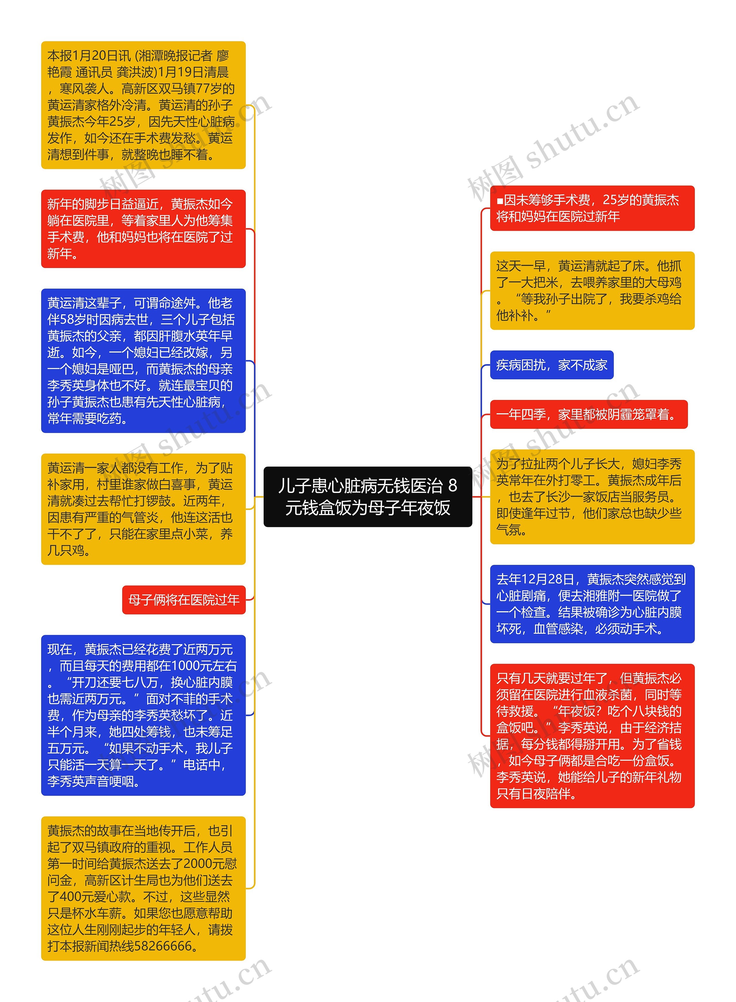 儿子患心脏病无钱医治 8元钱盒饭为母子年夜饭思维导图