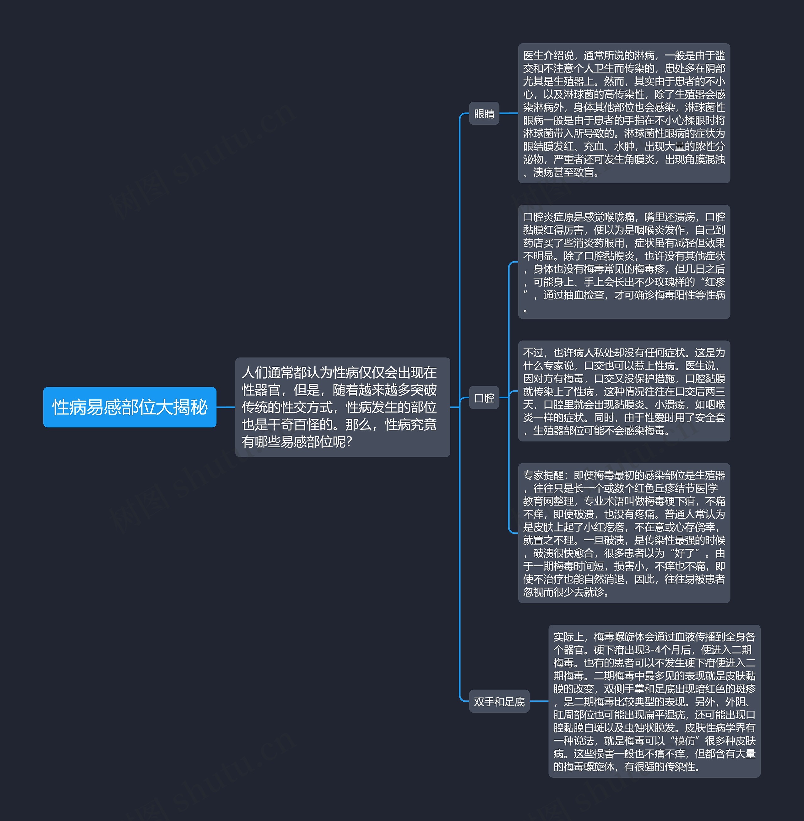 性病易感部位大揭秘思维导图