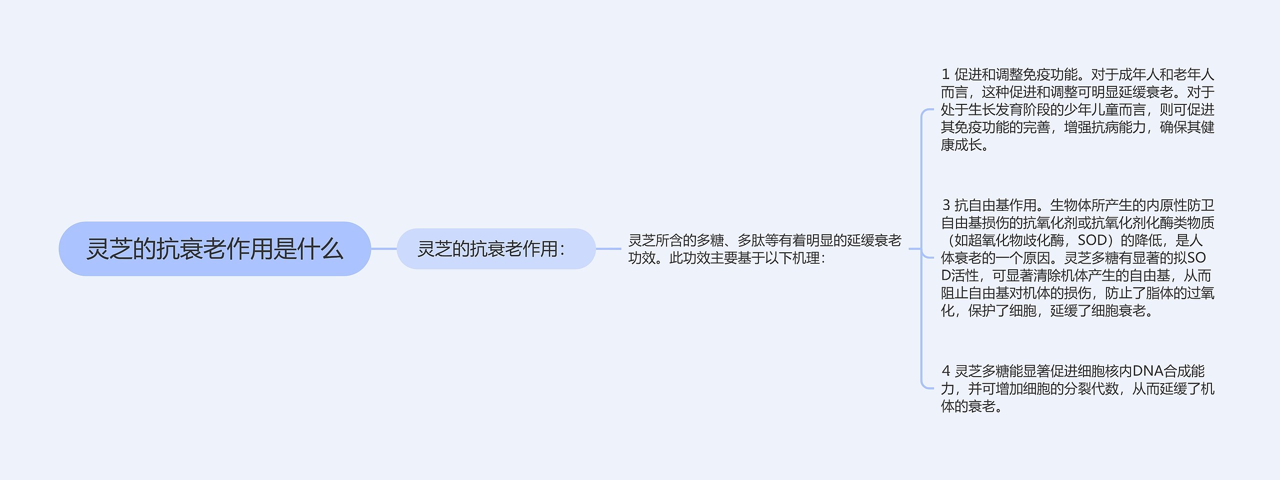 灵芝的抗衰老作用是什么思维导图