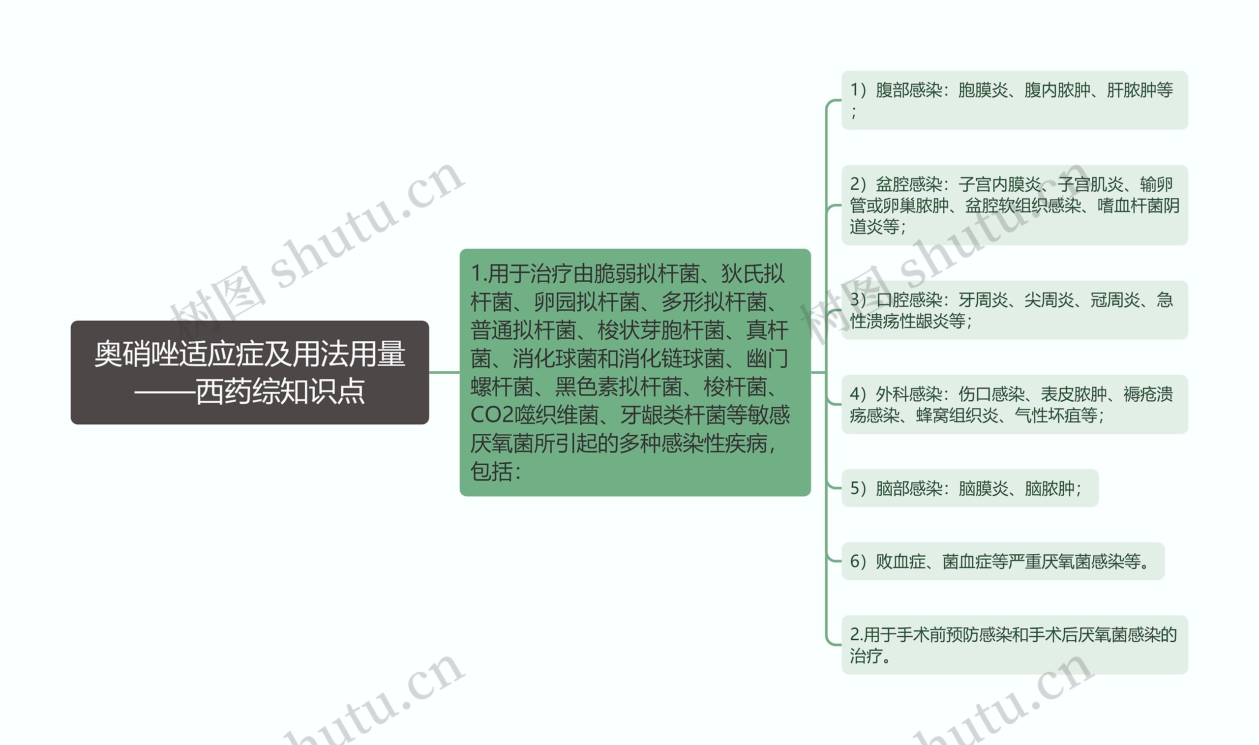 奥硝唑适应症及用法用量——西药综知识点