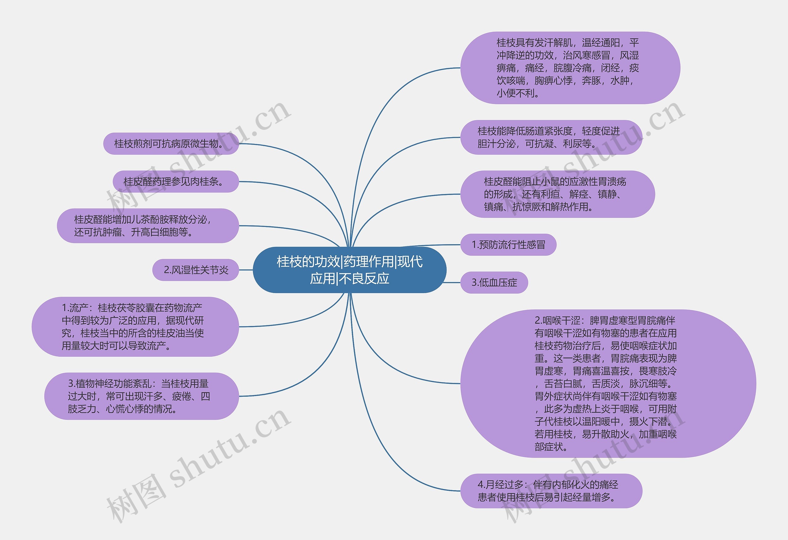 桂枝的功效|药理作用|现代应用|不良反应思维导图