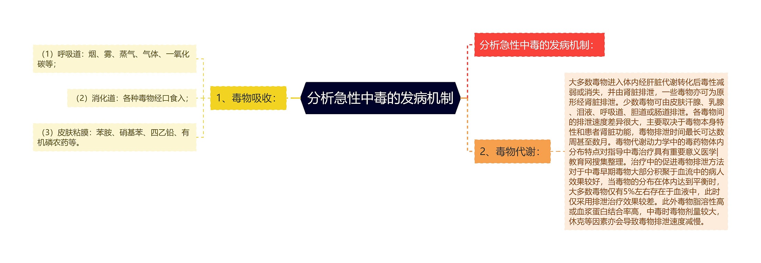 分析急性中毒的发病机制思维导图