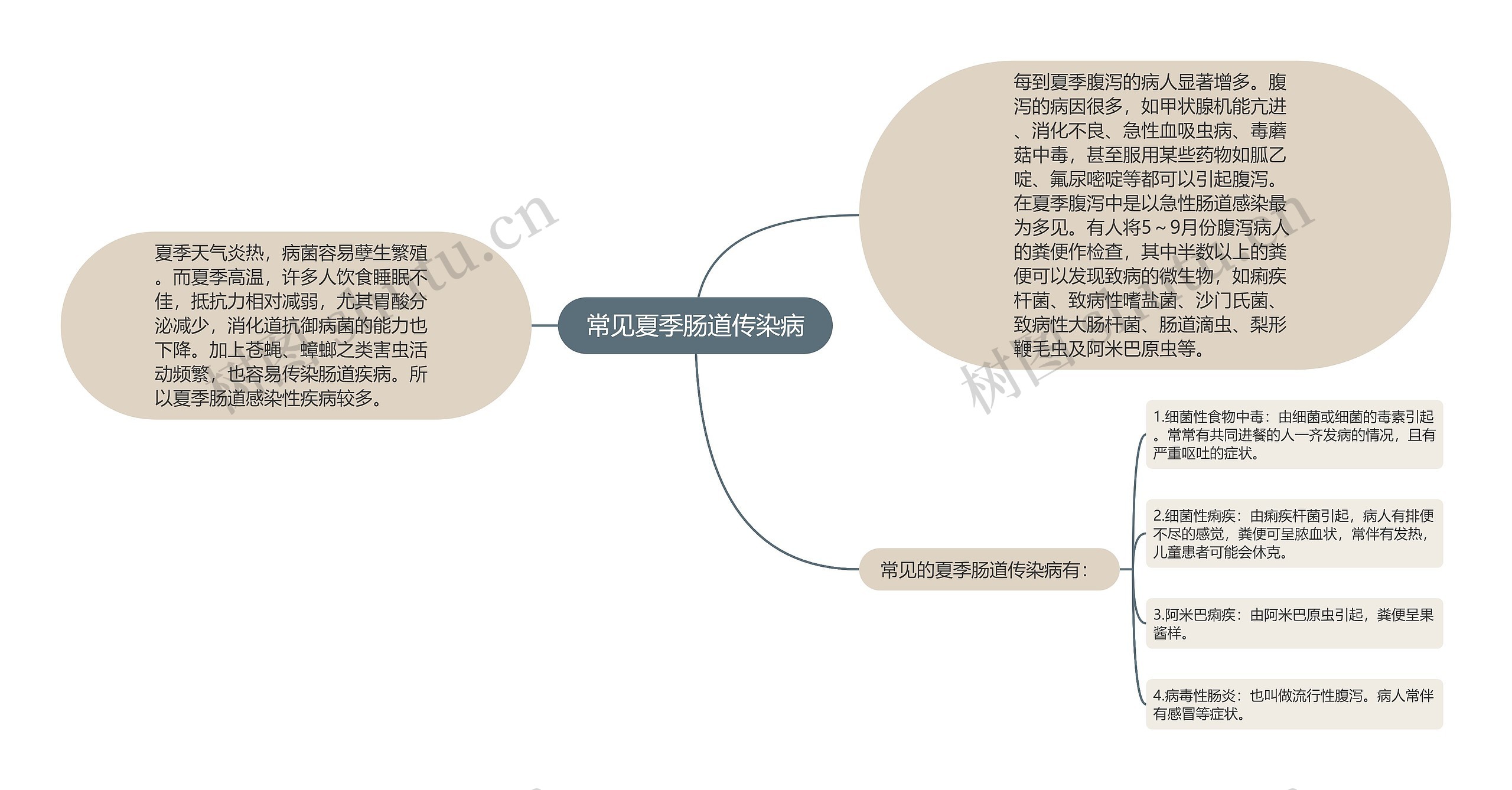 常见夏季肠道传染病思维导图