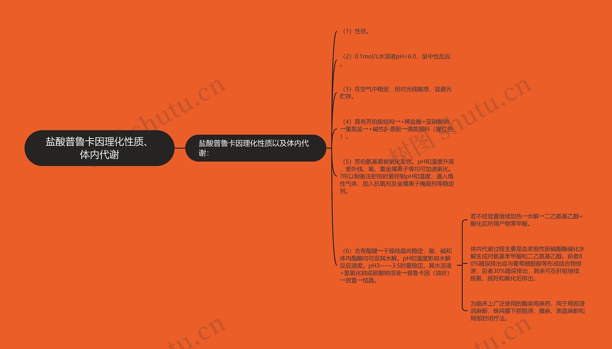 盐酸普鲁卡因理化性质、体内代谢思维导图