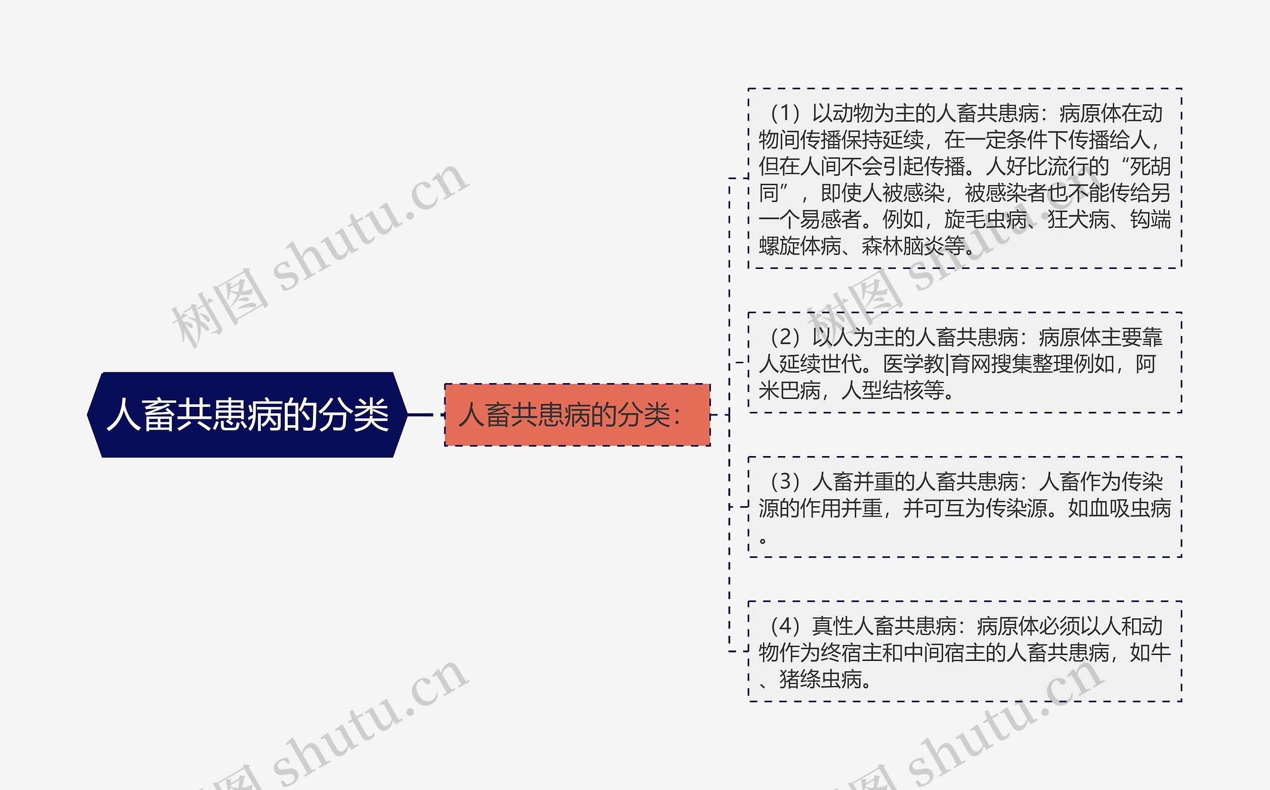 人畜共患病的分类思维导图