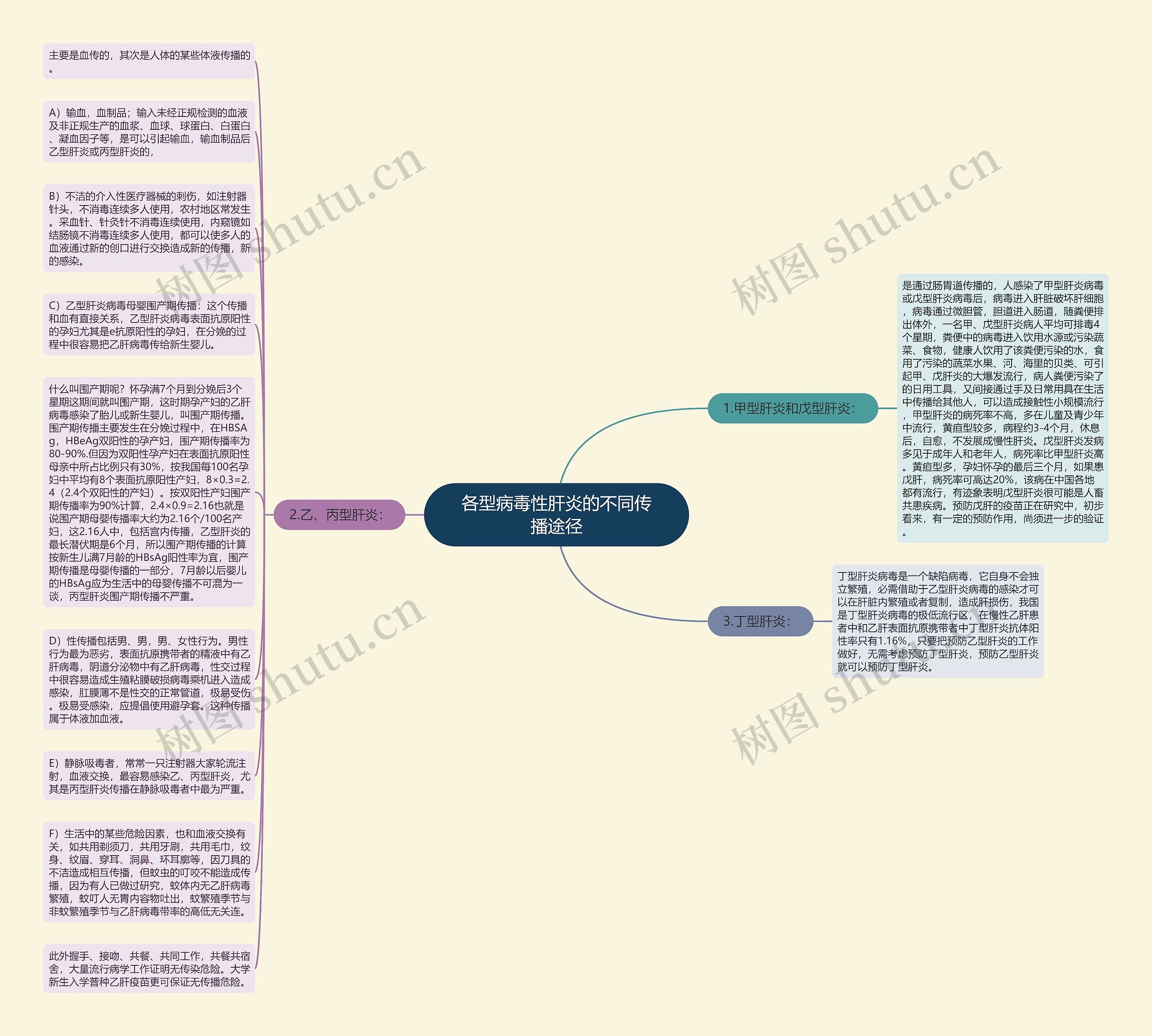 各型病毒性肝炎的不同传播途径思维导图