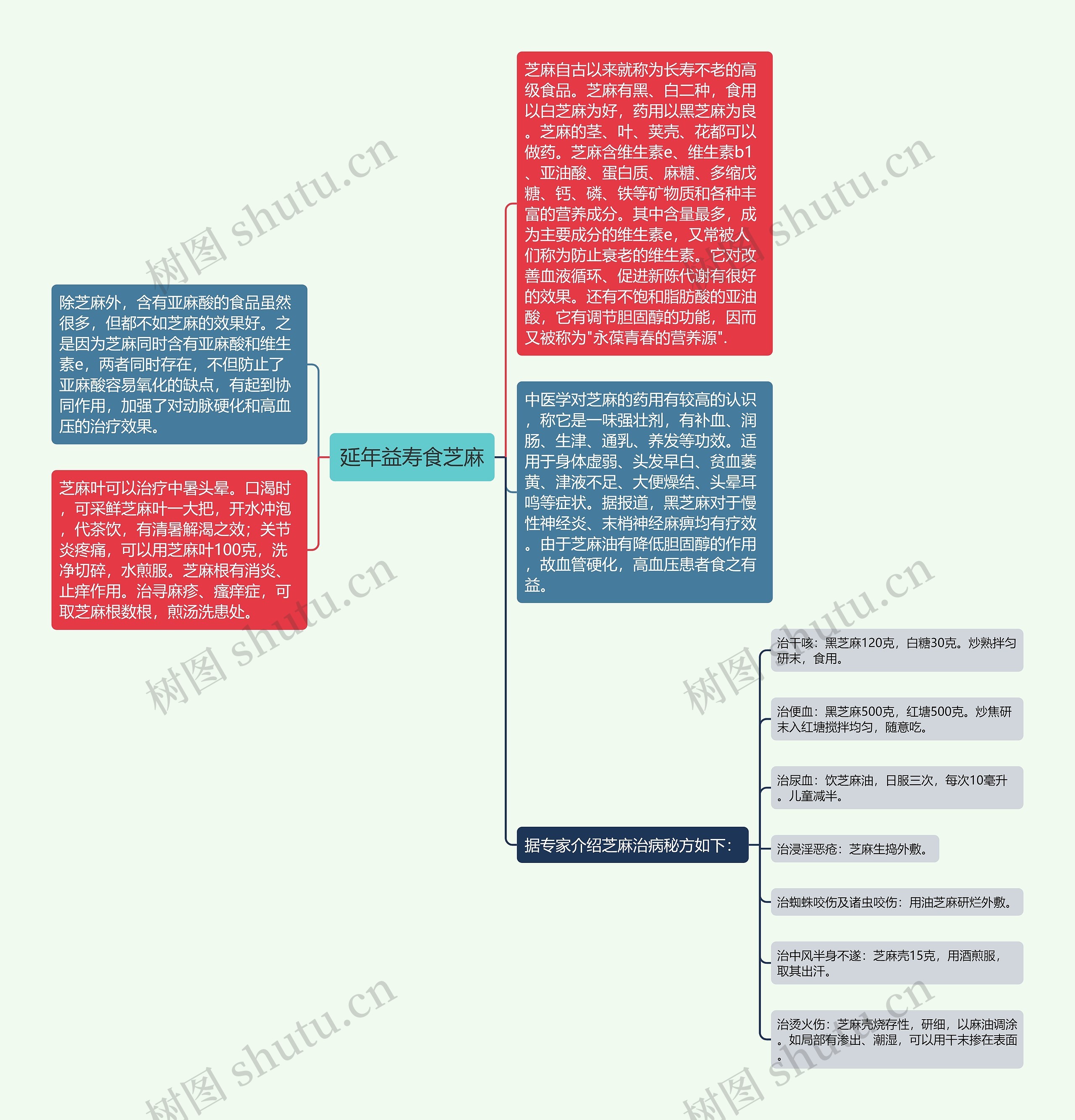 延年益寿食芝麻思维导图