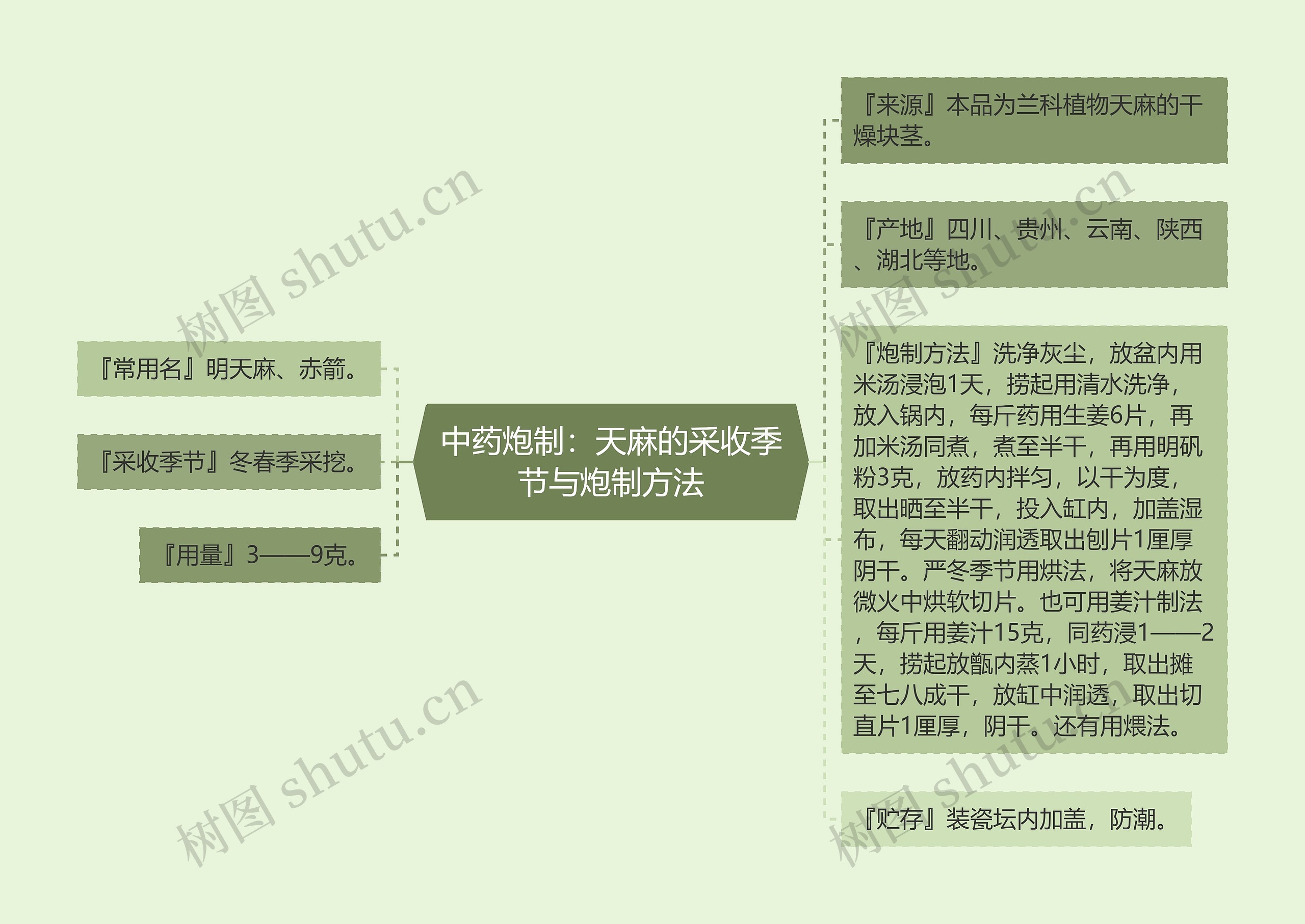中药炮制:天麻的采收季节与炮制方法 中药炮制:天麻的采收季节与炮制方法