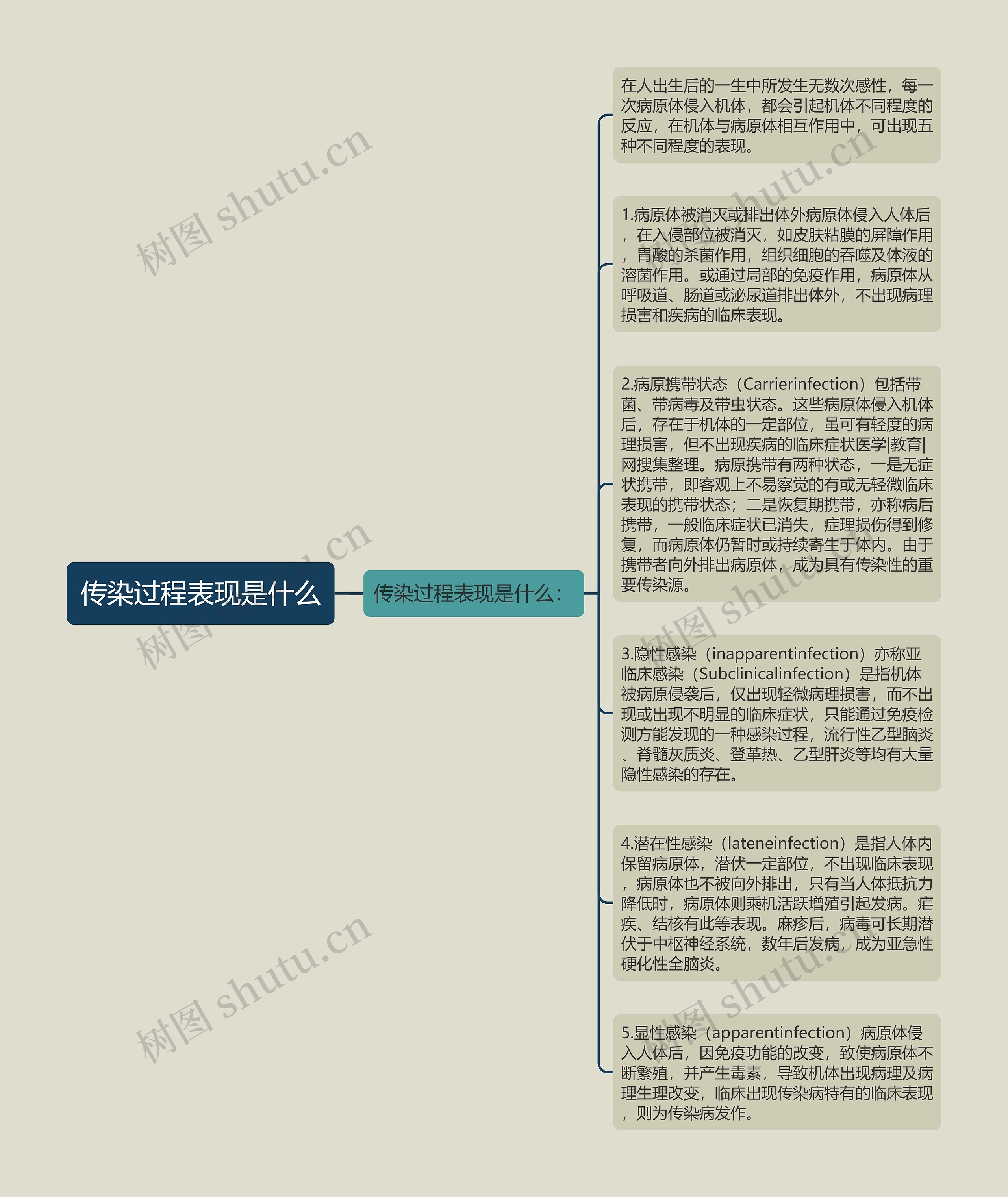 传染过程表现是什么