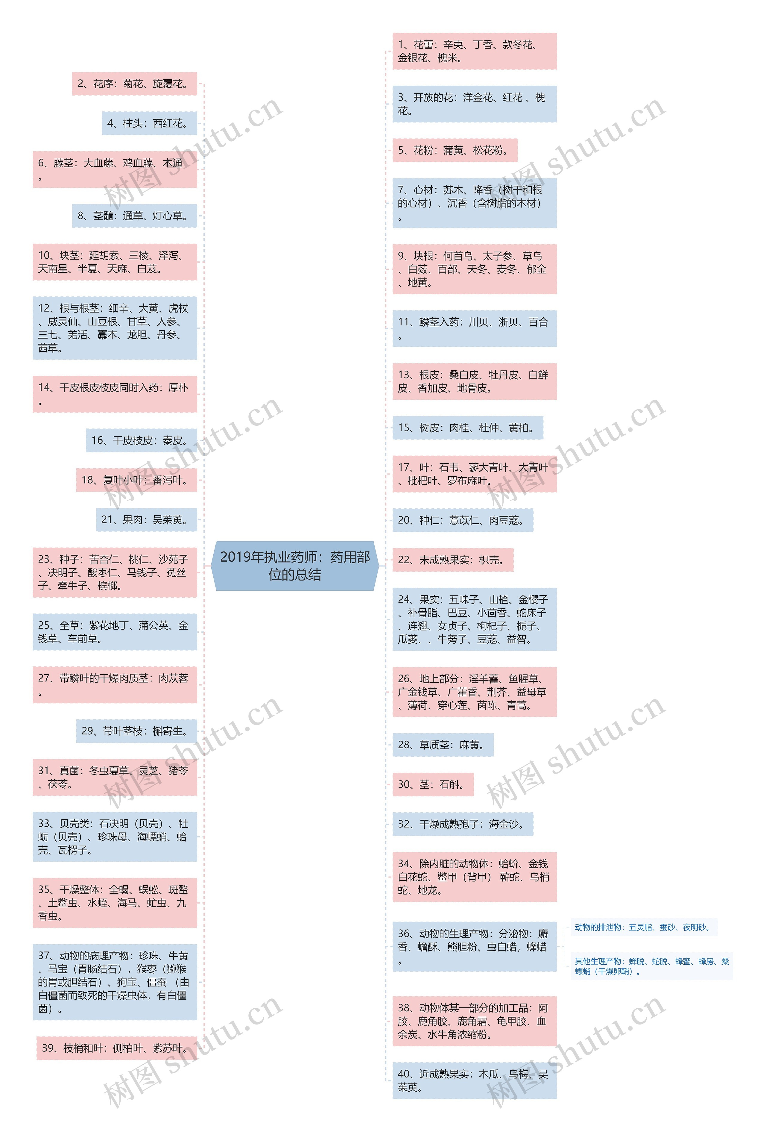 2019年执业药师：药用部位的总结思维导图