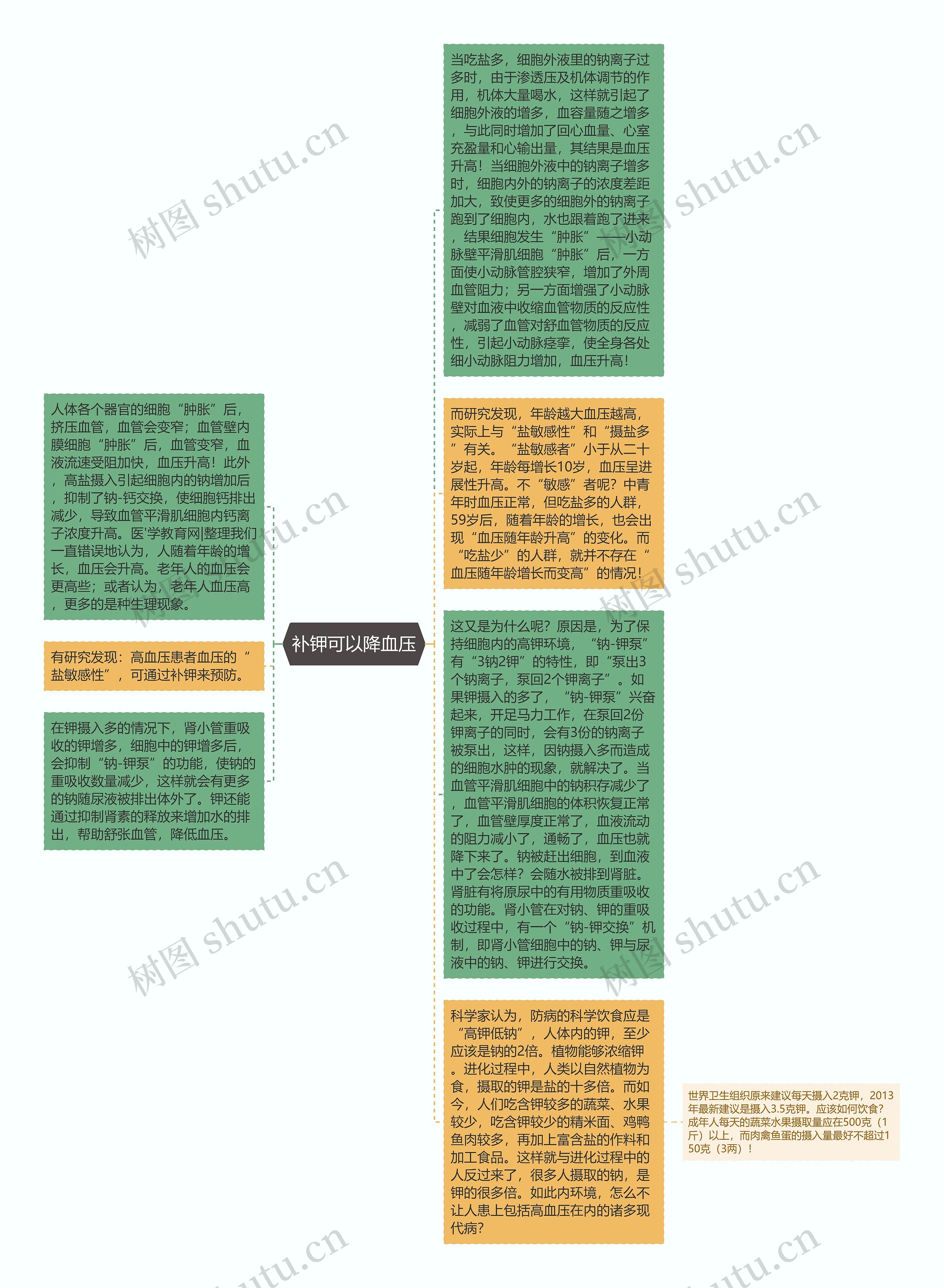 补钾可以降血压思维导图