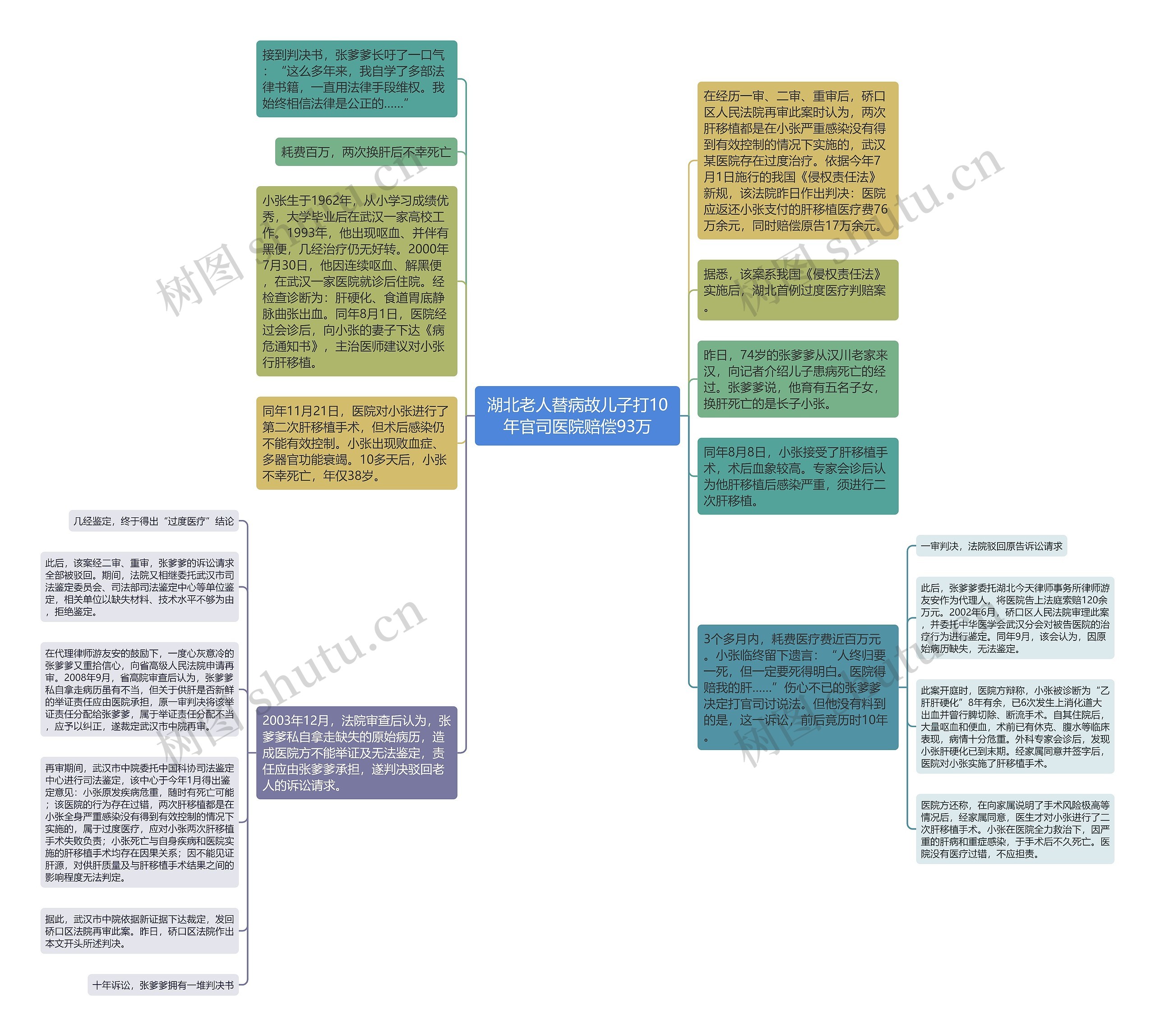 湖北老人替病故儿子打10年官司医院赔偿93万思维导图