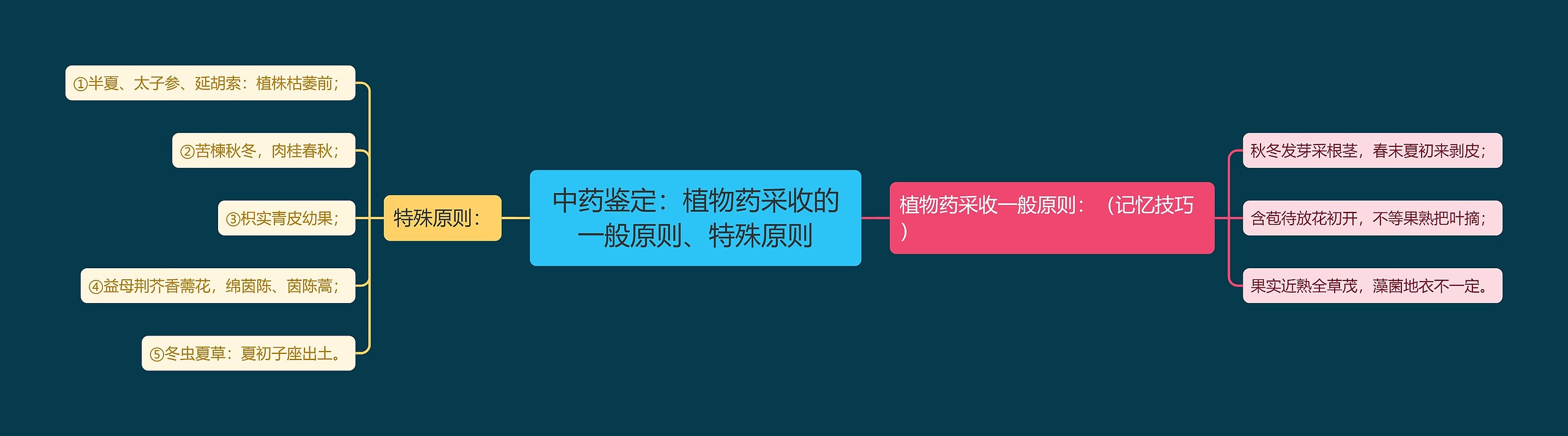 中药鉴定：植物药采收的一般原则、特殊原则