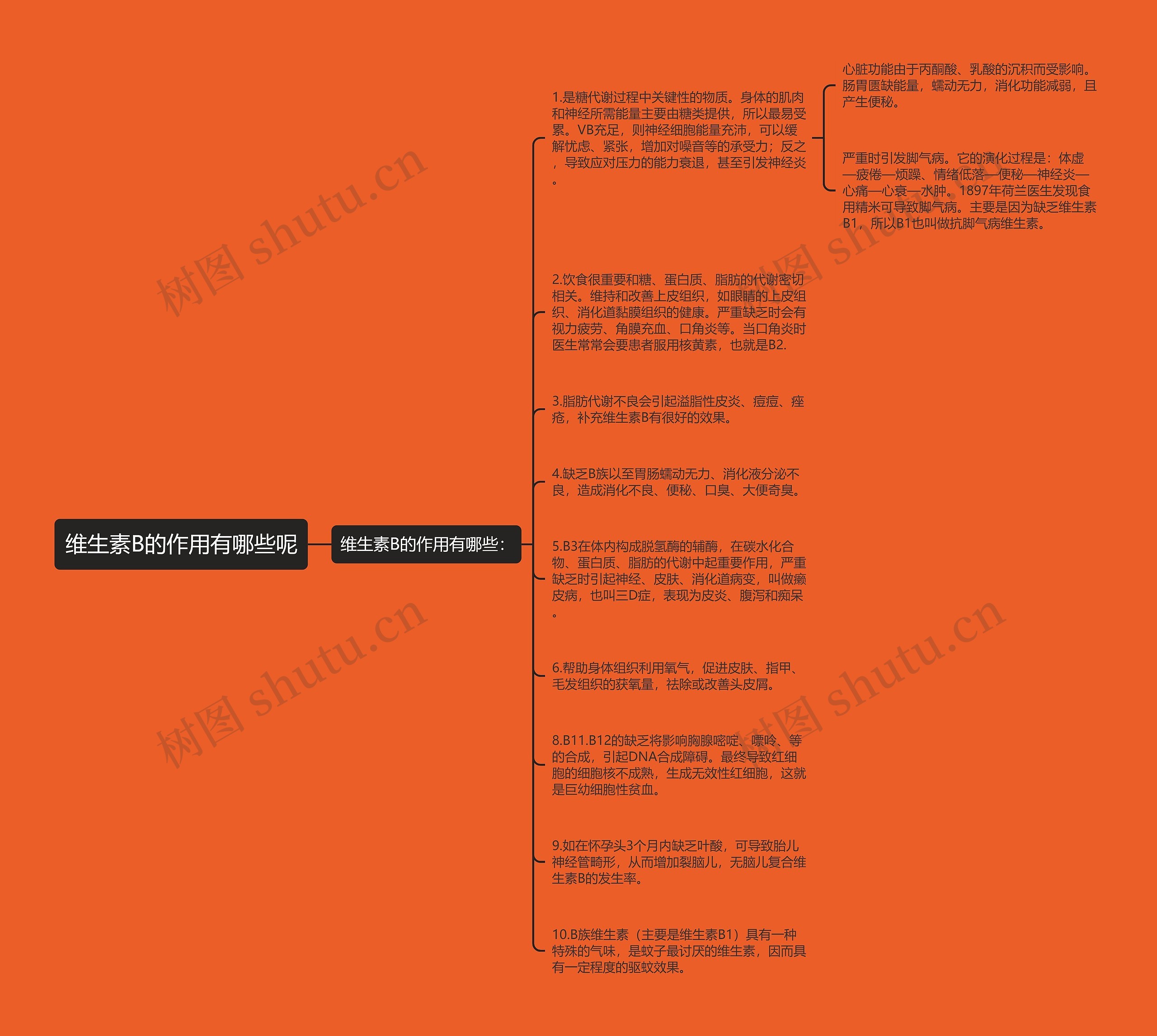 维生素B的作用有哪些呢思维导图