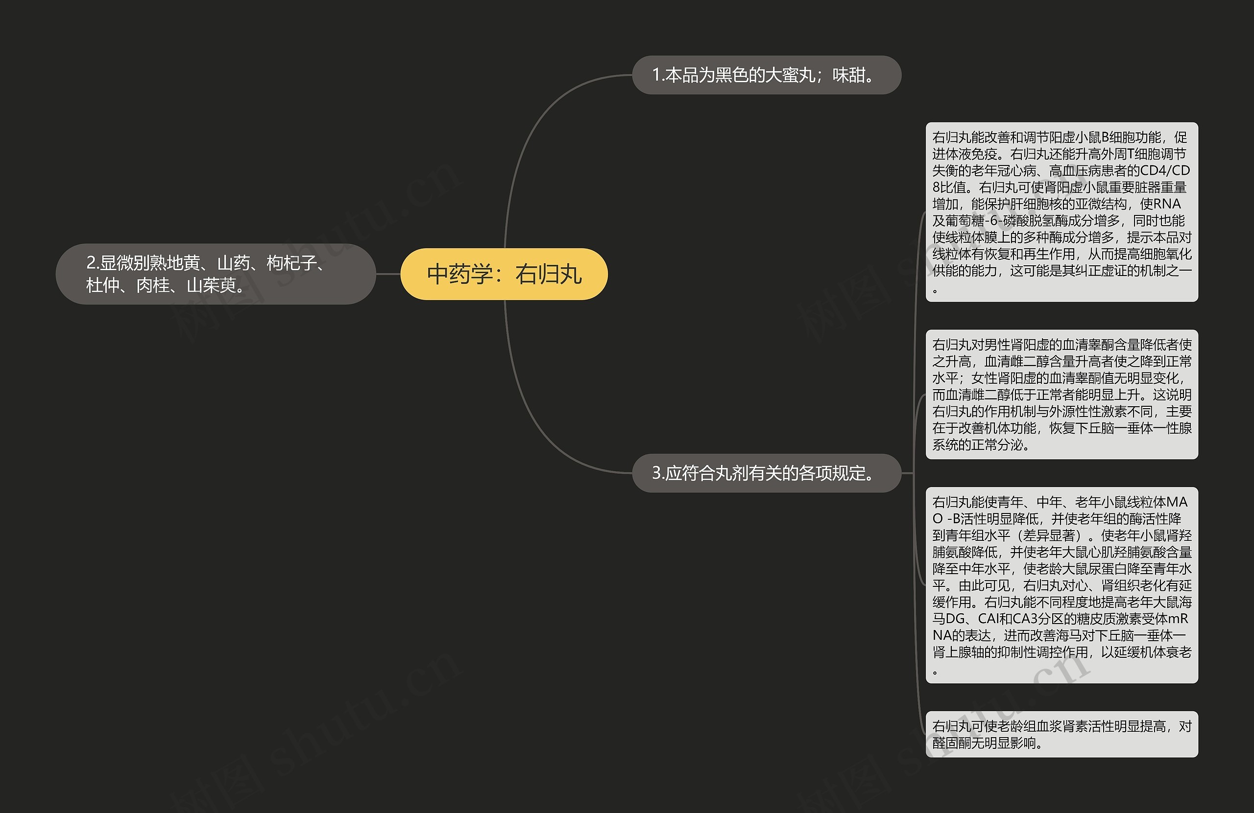 中药学：右归丸思维导图