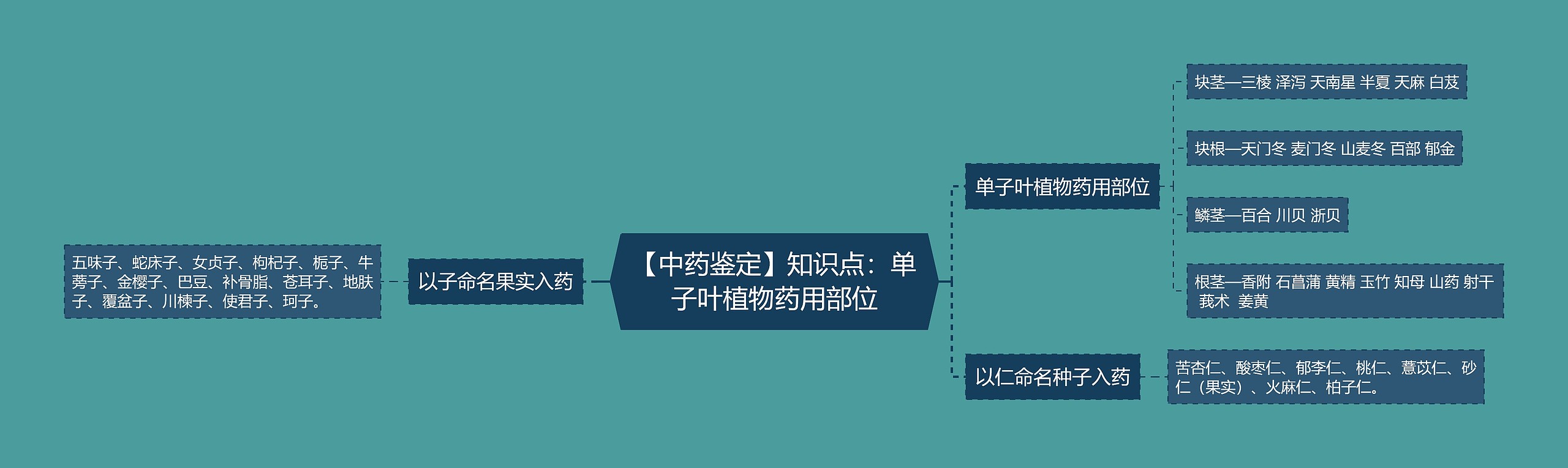 【中药鉴定】知识点：单子叶植物药用部位思维导图