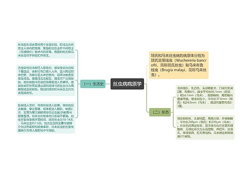 丝虫病病原学