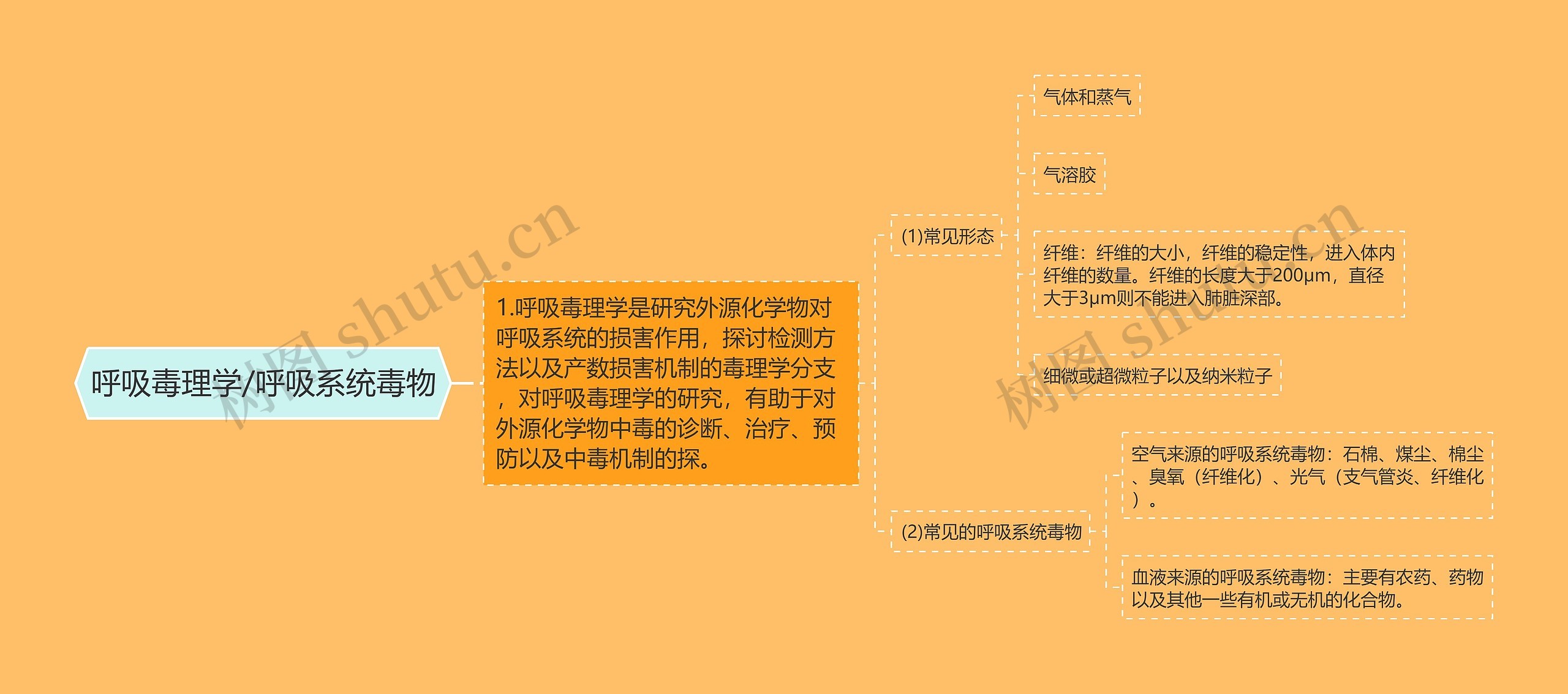 呼吸毒理学/呼吸系统毒物思维导图