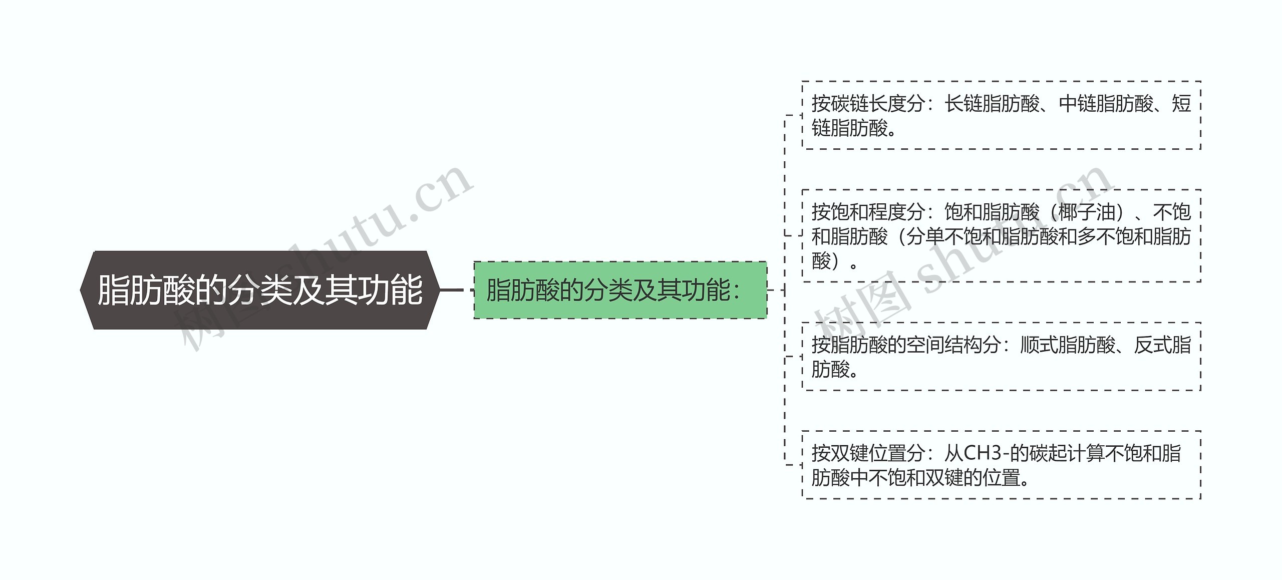 脂肪酸的分类及其功能思维导图