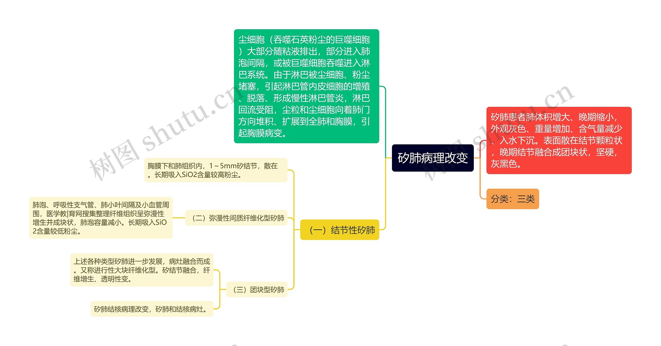 矽肺病理改变思维导图