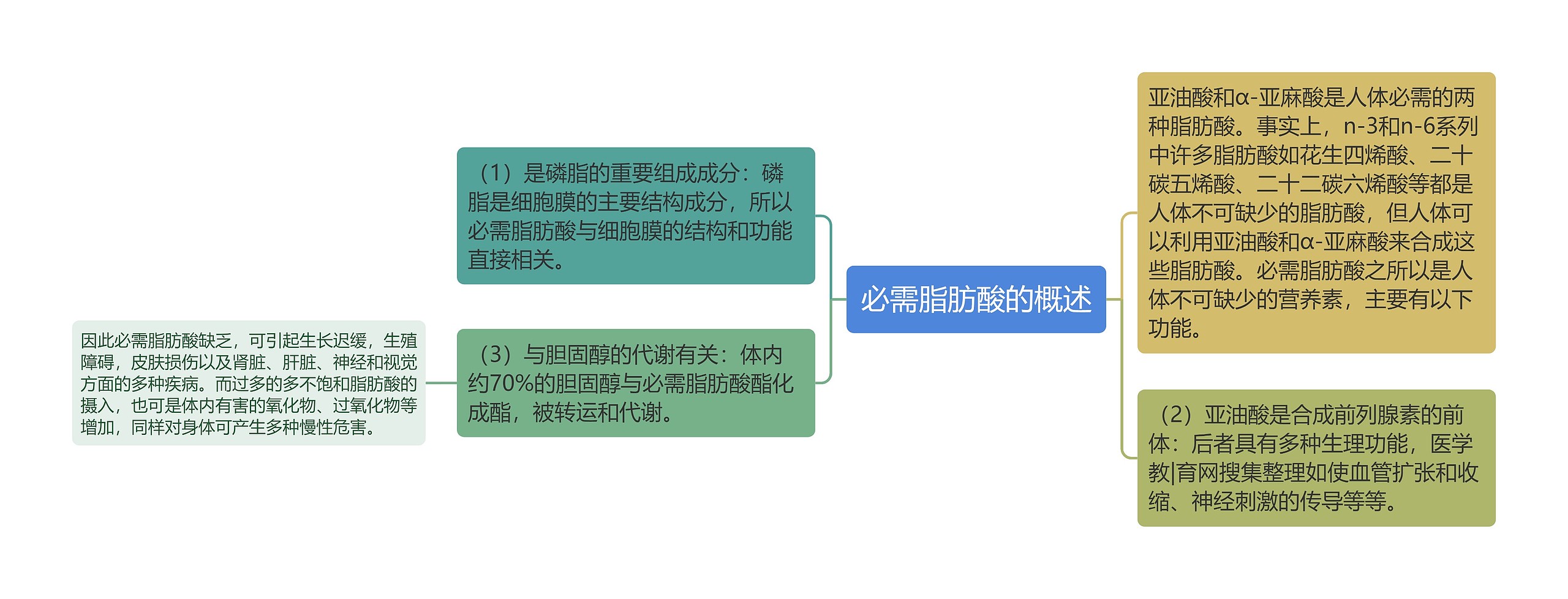 必需脂肪酸的概述思维导图