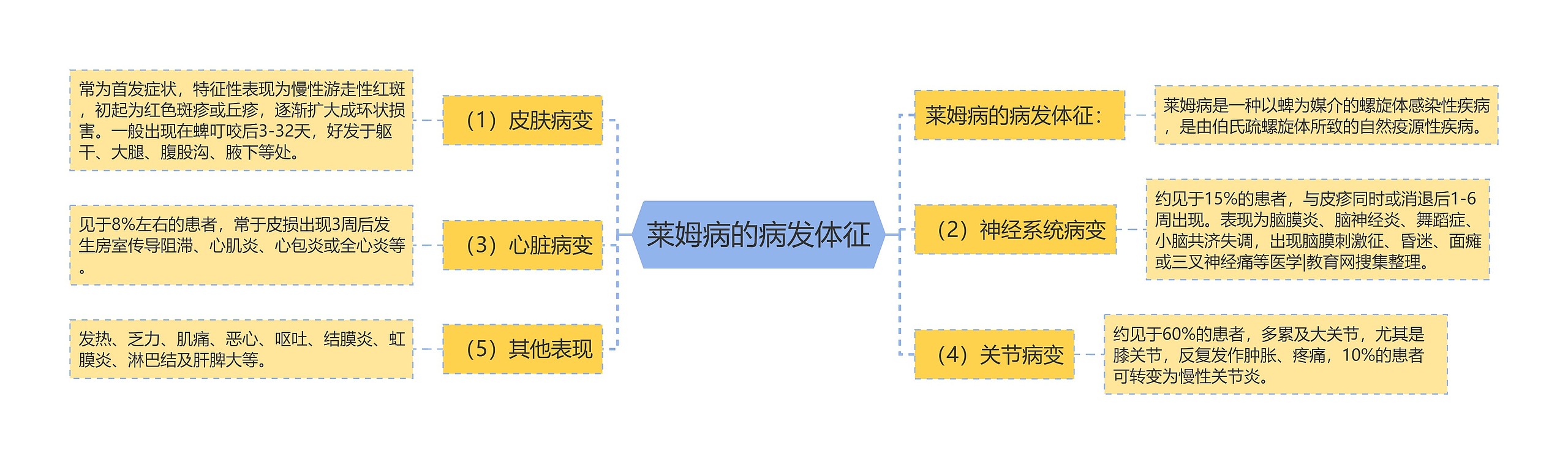 莱姆病的病发体征思维导图