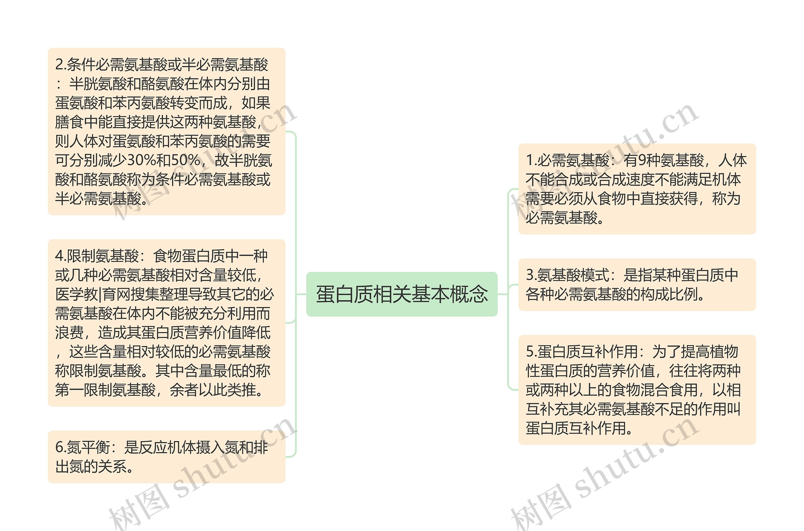 蛋白质相关基本概念