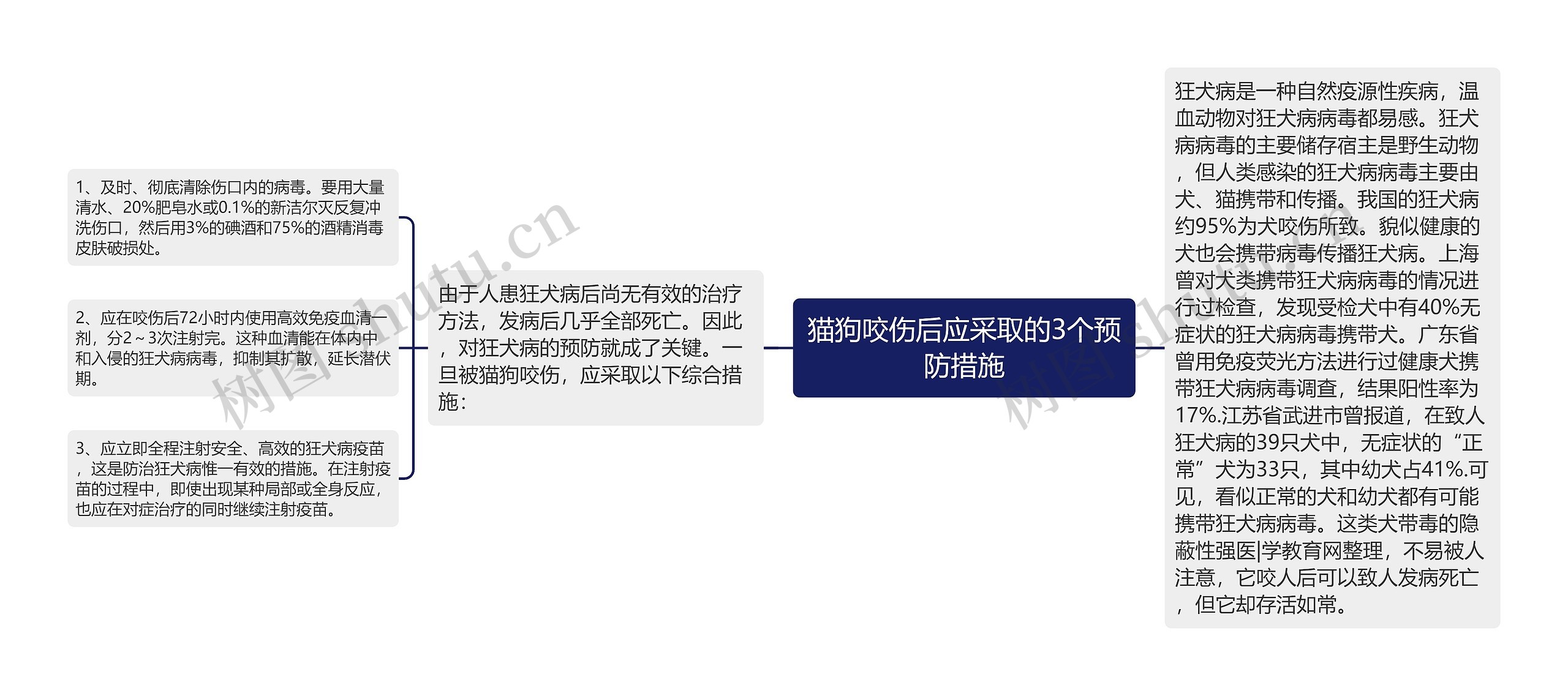 猫狗咬伤后应采取的3个预防措施 猫狗咬伤后应采取的3个预防措施