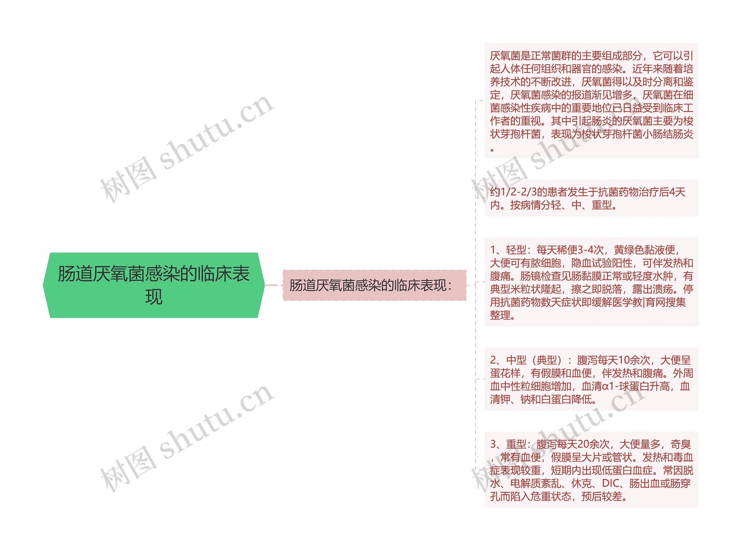 肠道厌氧菌感染的临床表现思维导图