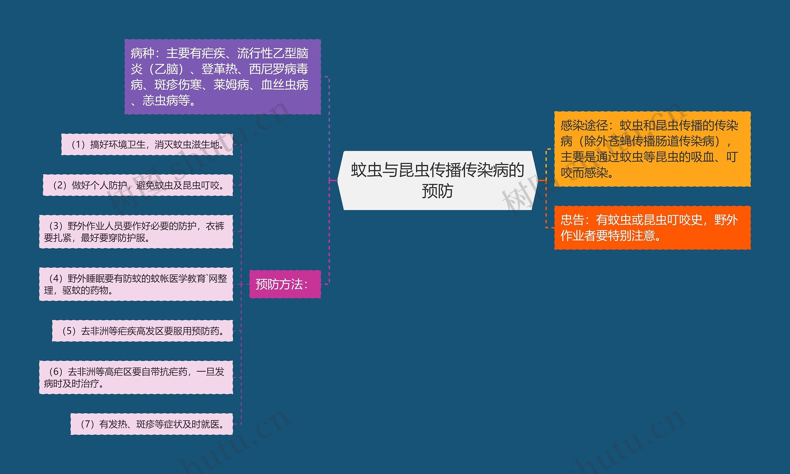 蚊虫与昆虫传播传染病的预防 蚊虫与昆虫传播传染病的预防