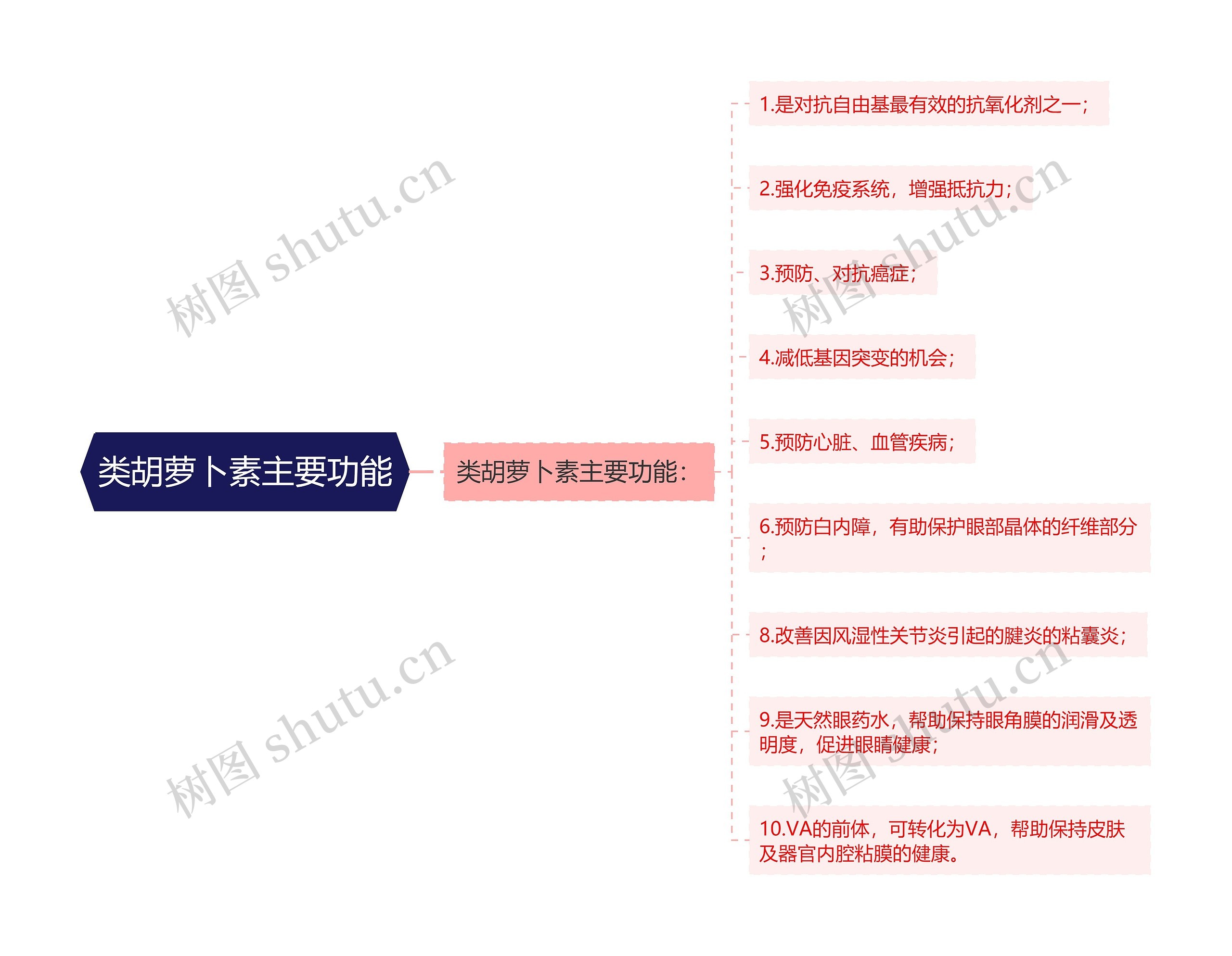 类胡萝卜素主要功能思维导图