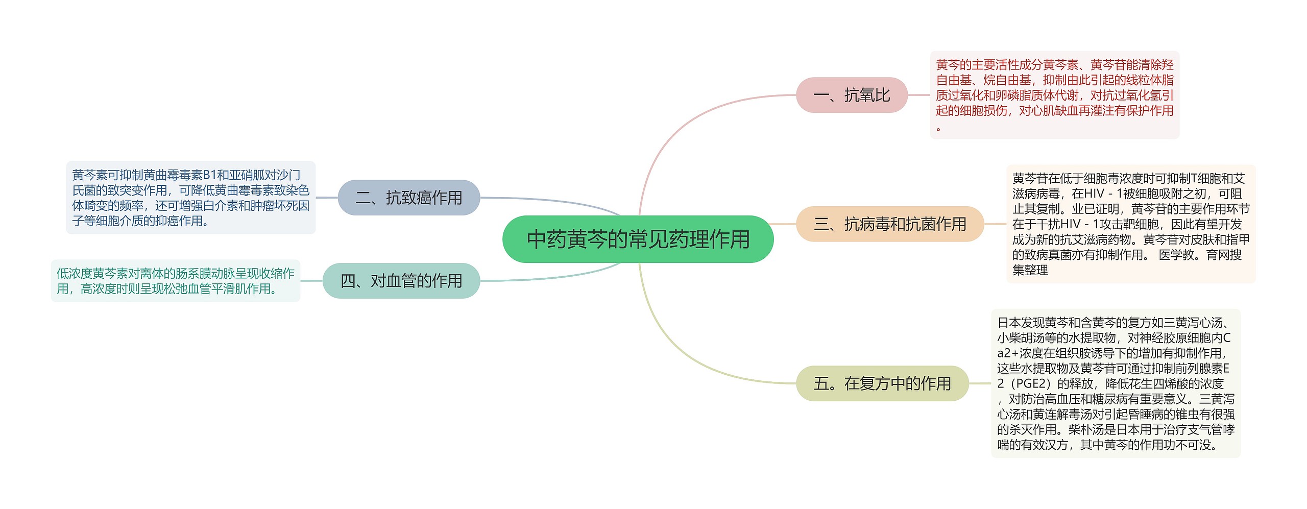 中药黄芩的常见药理作用思维导图