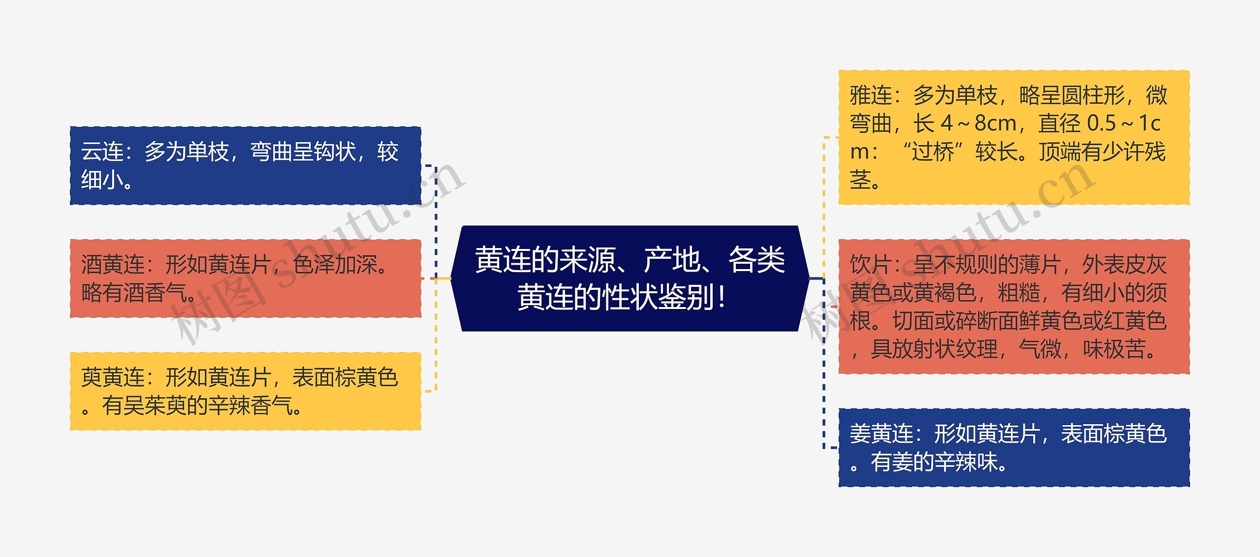 黄连的来源、产地、各类黄连的性状鉴别！思维导图