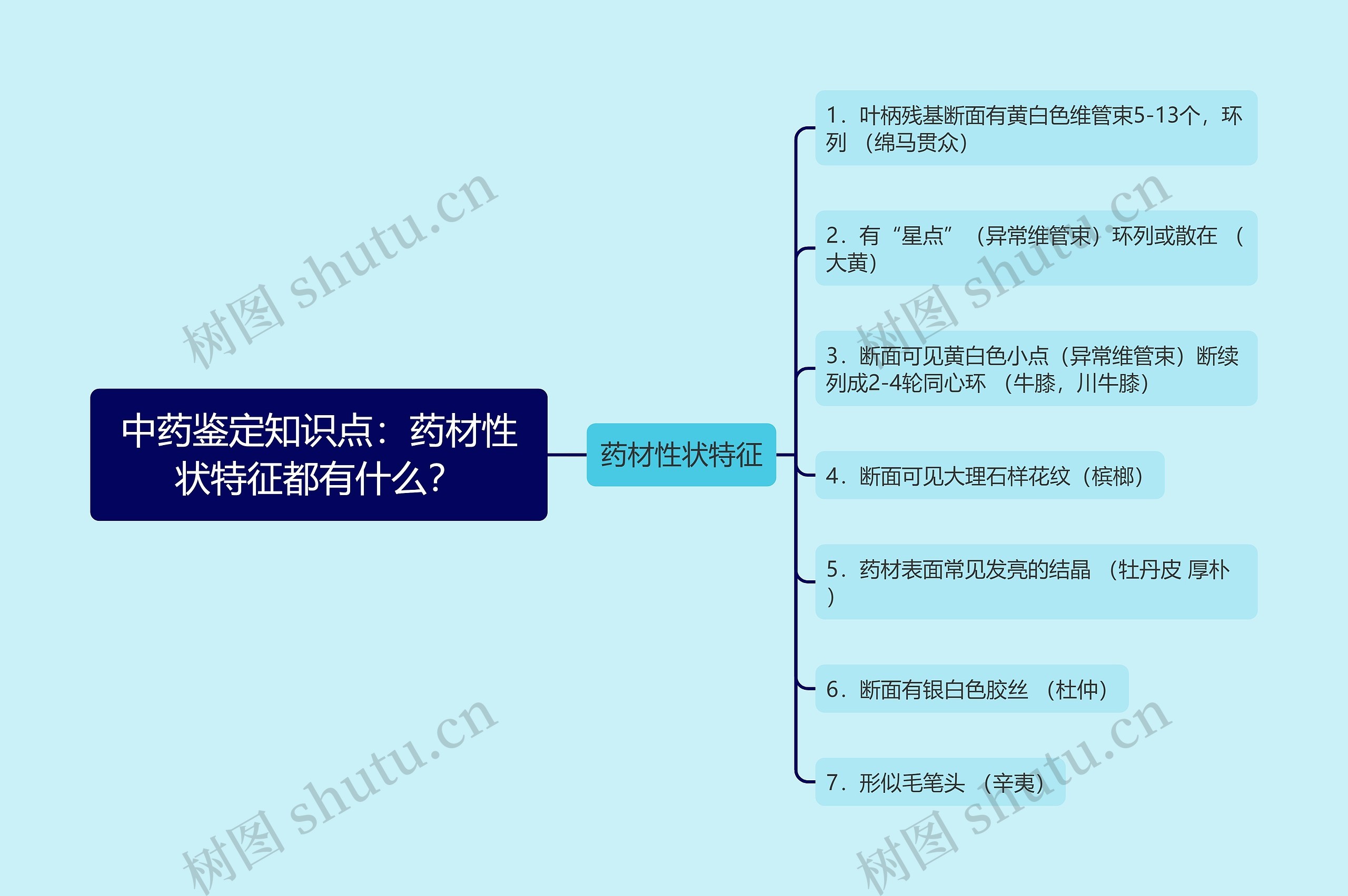 中药鉴定知识点：药材性状特征都有什么？思维导图