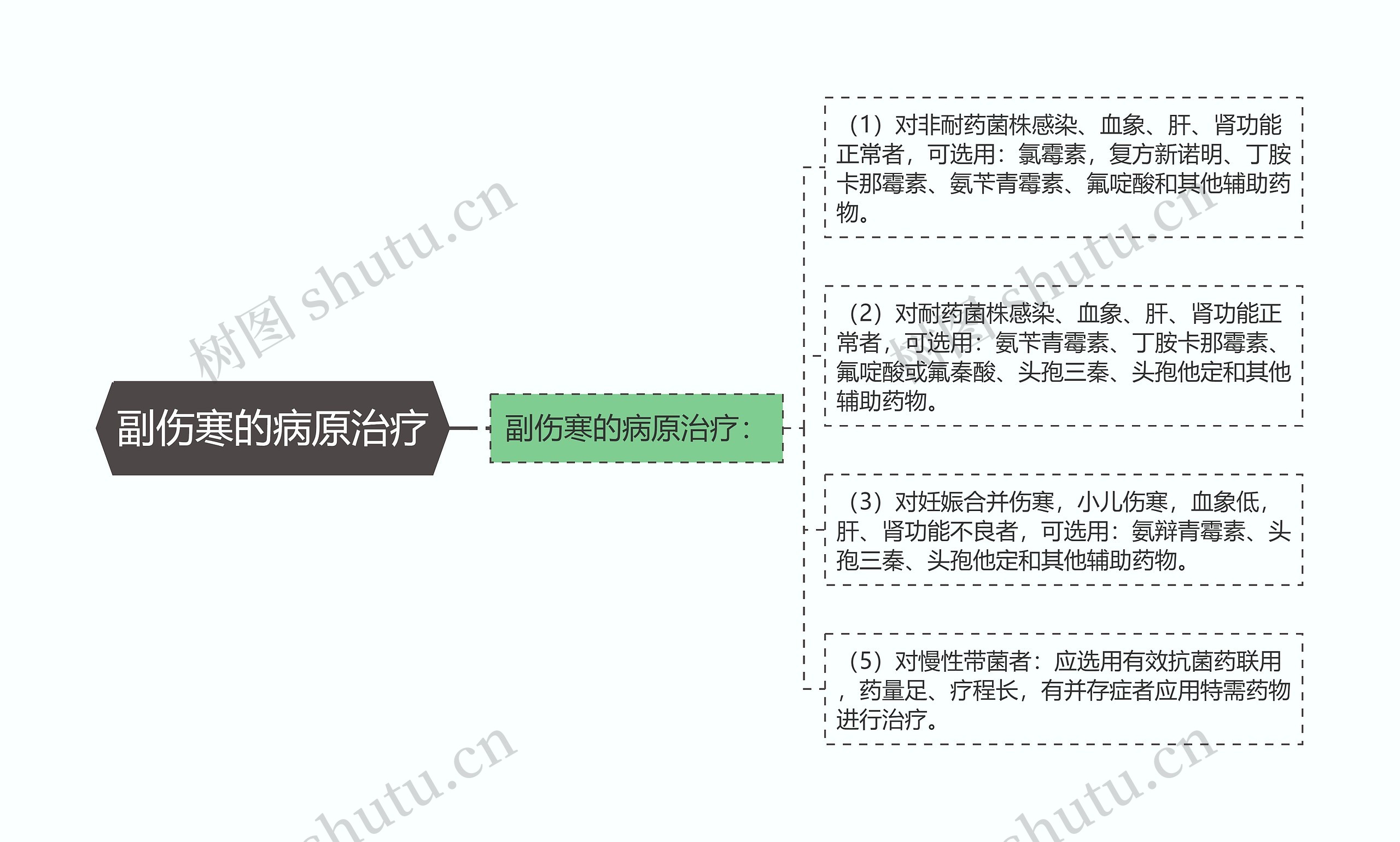 副伤寒的病原治疗思维导图