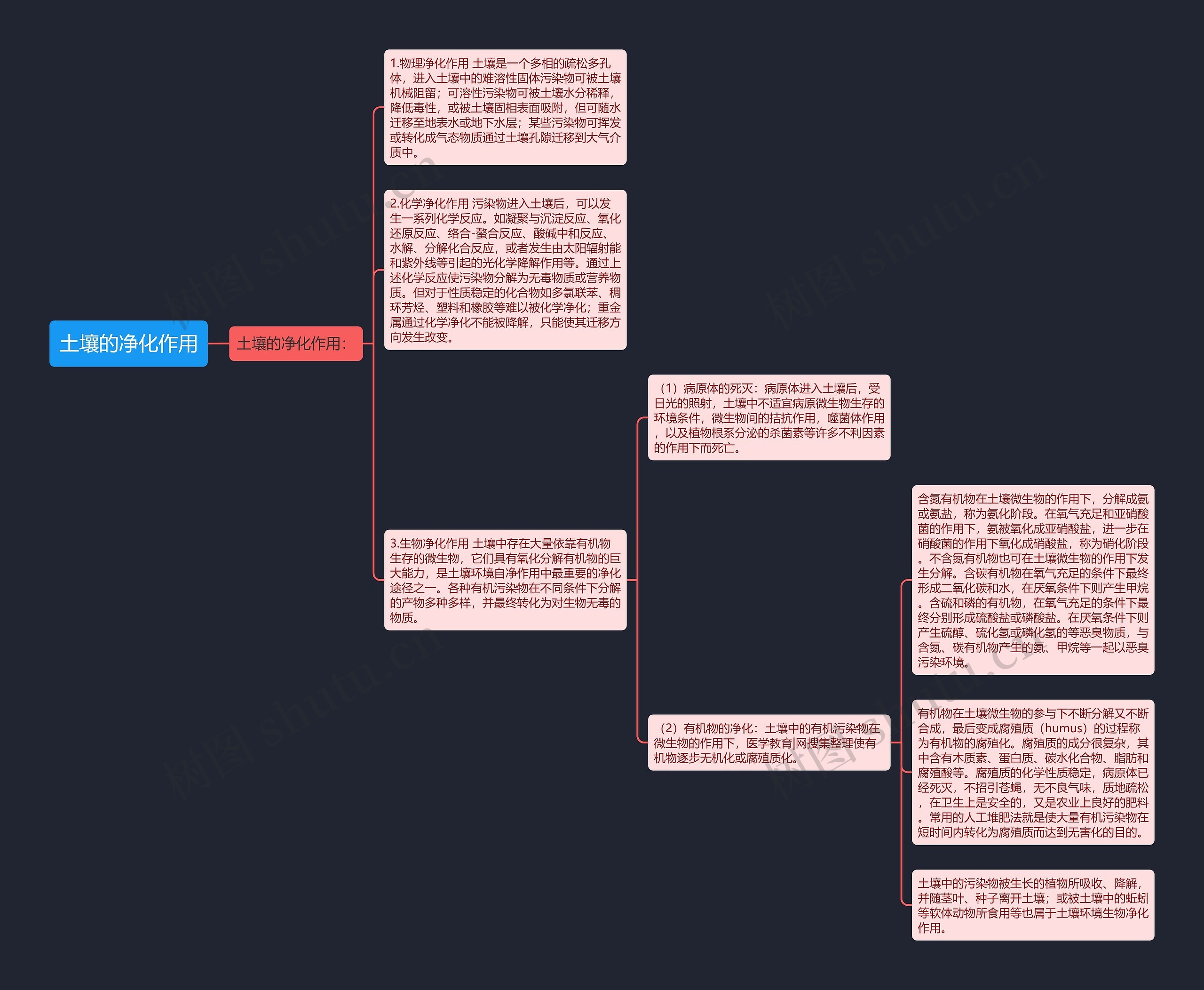 土壤的净化作用思维导图