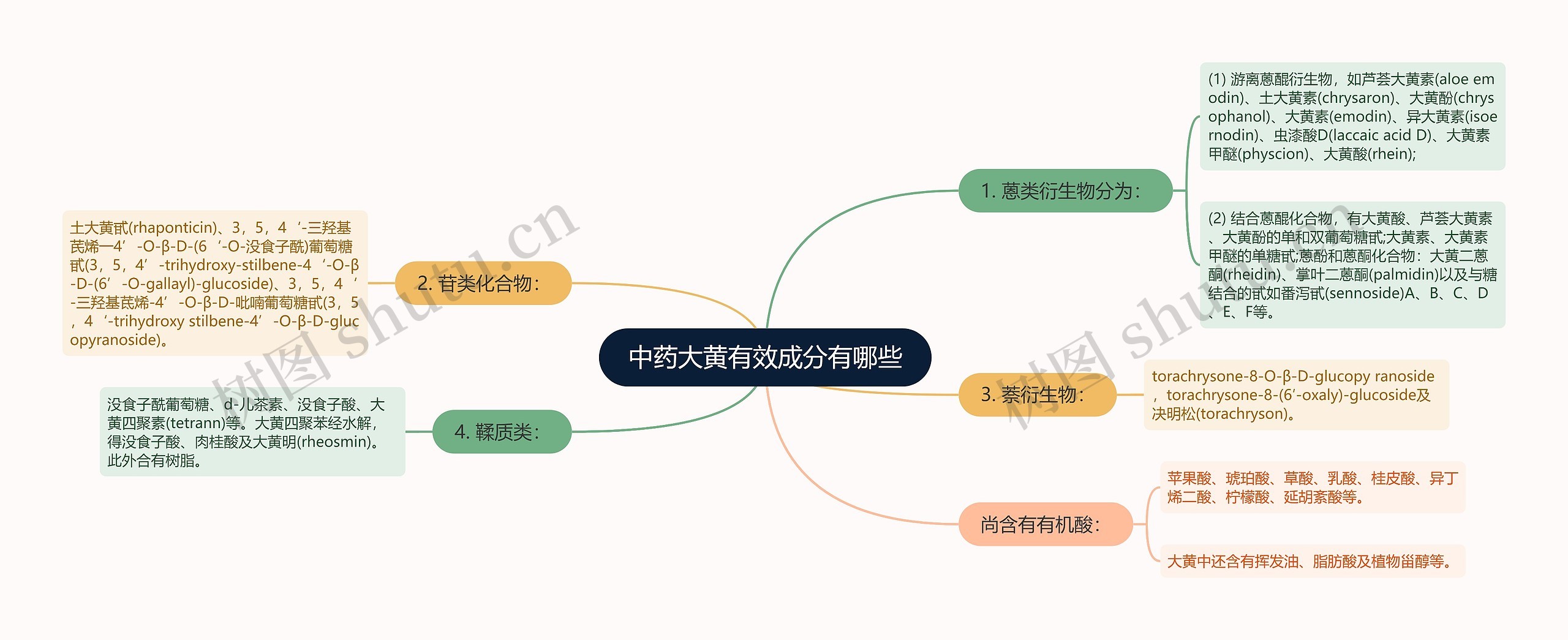 中药大黄有效成分有哪些思维导图