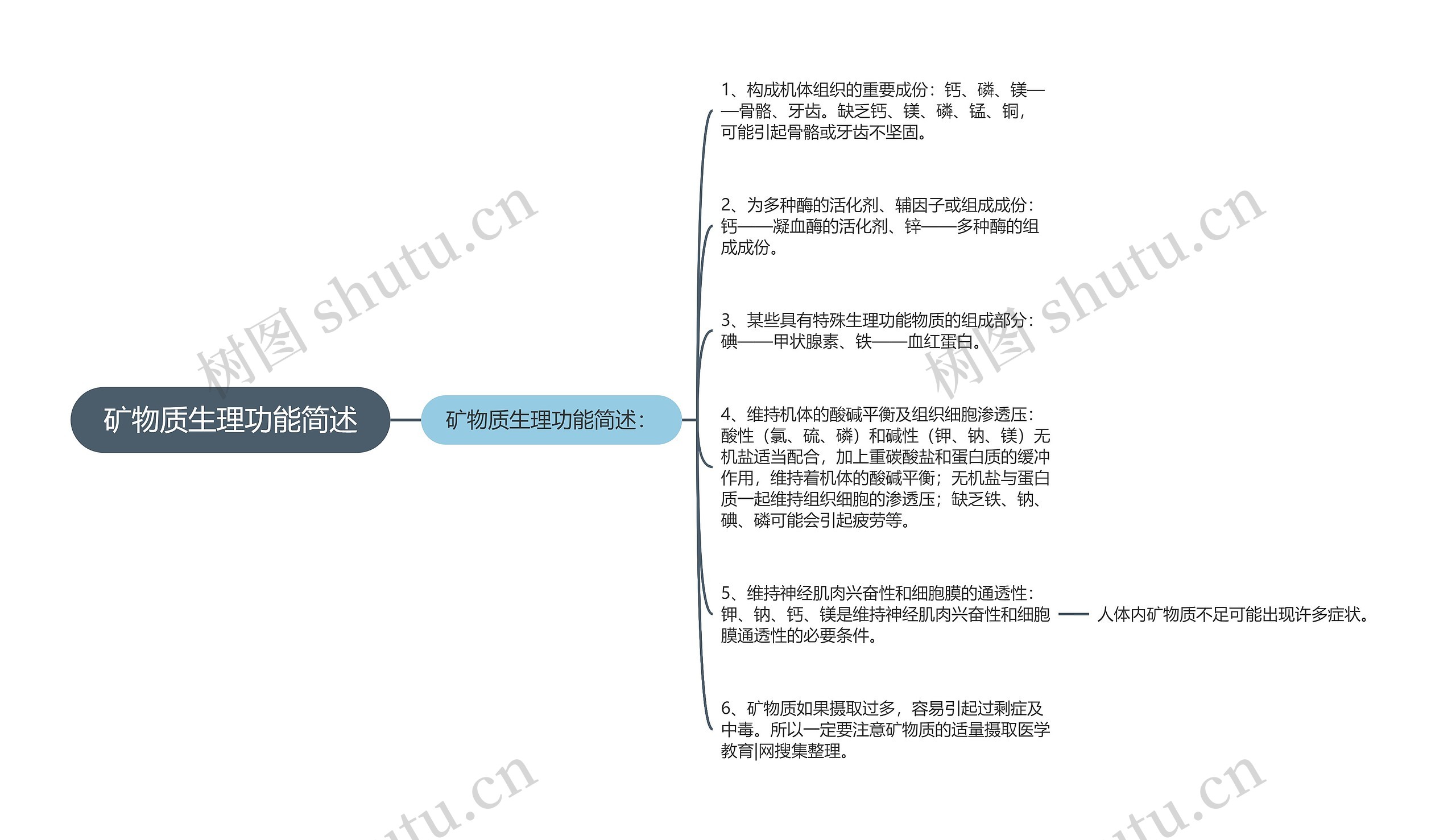 矿物质生理功能简述思维导图