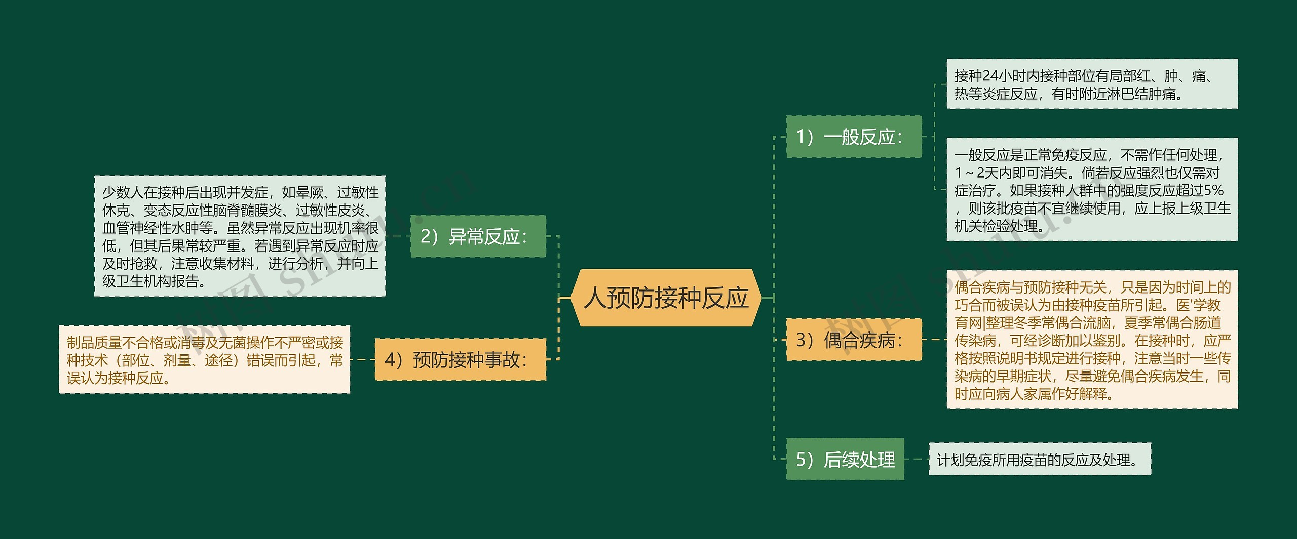 人预防接种反应思维导图