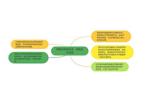 药物分析知识点：药物治疗过程