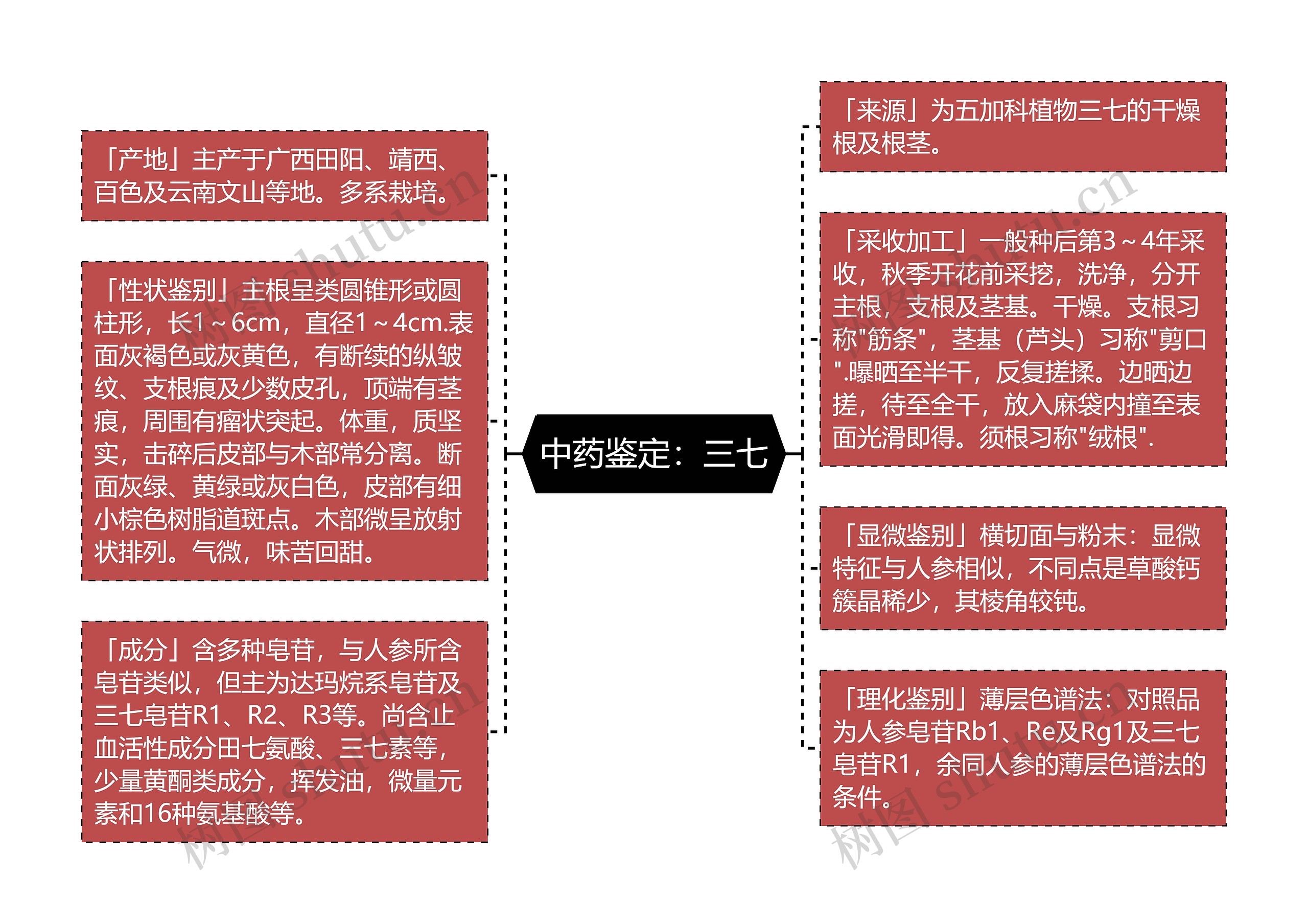 中药鉴定:三七 中药鉴定:三七