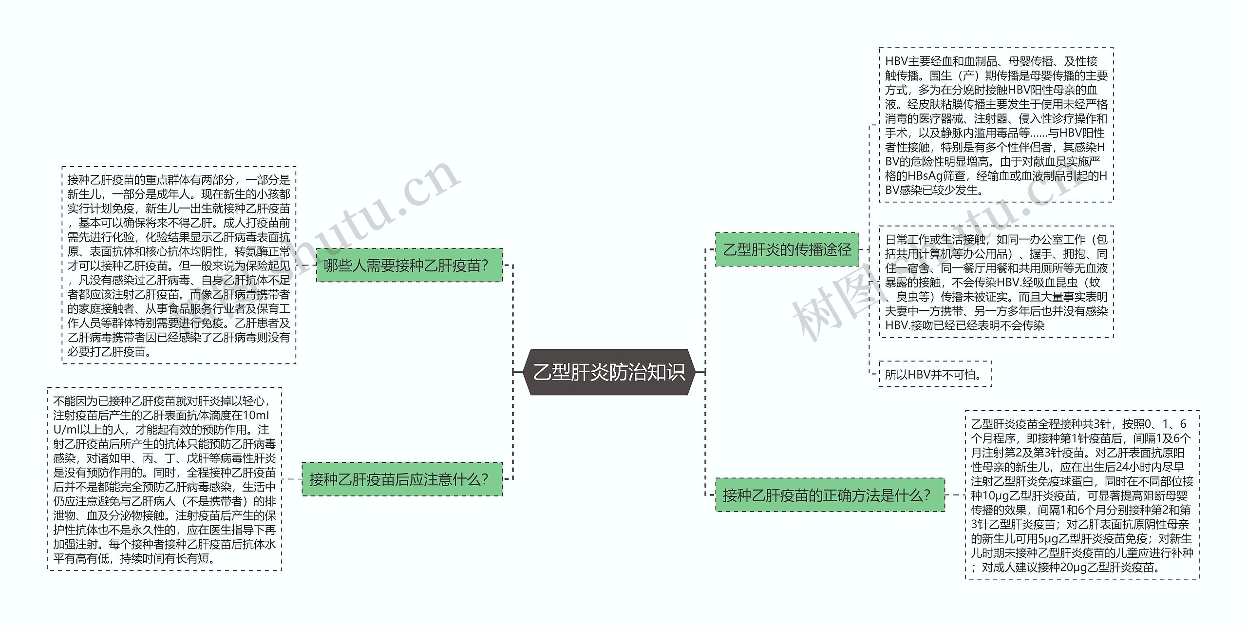 乙型肝炎防治知识