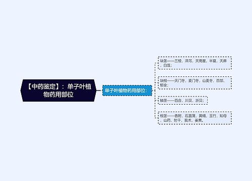 【中药鉴定】：单子叶植物药用部位