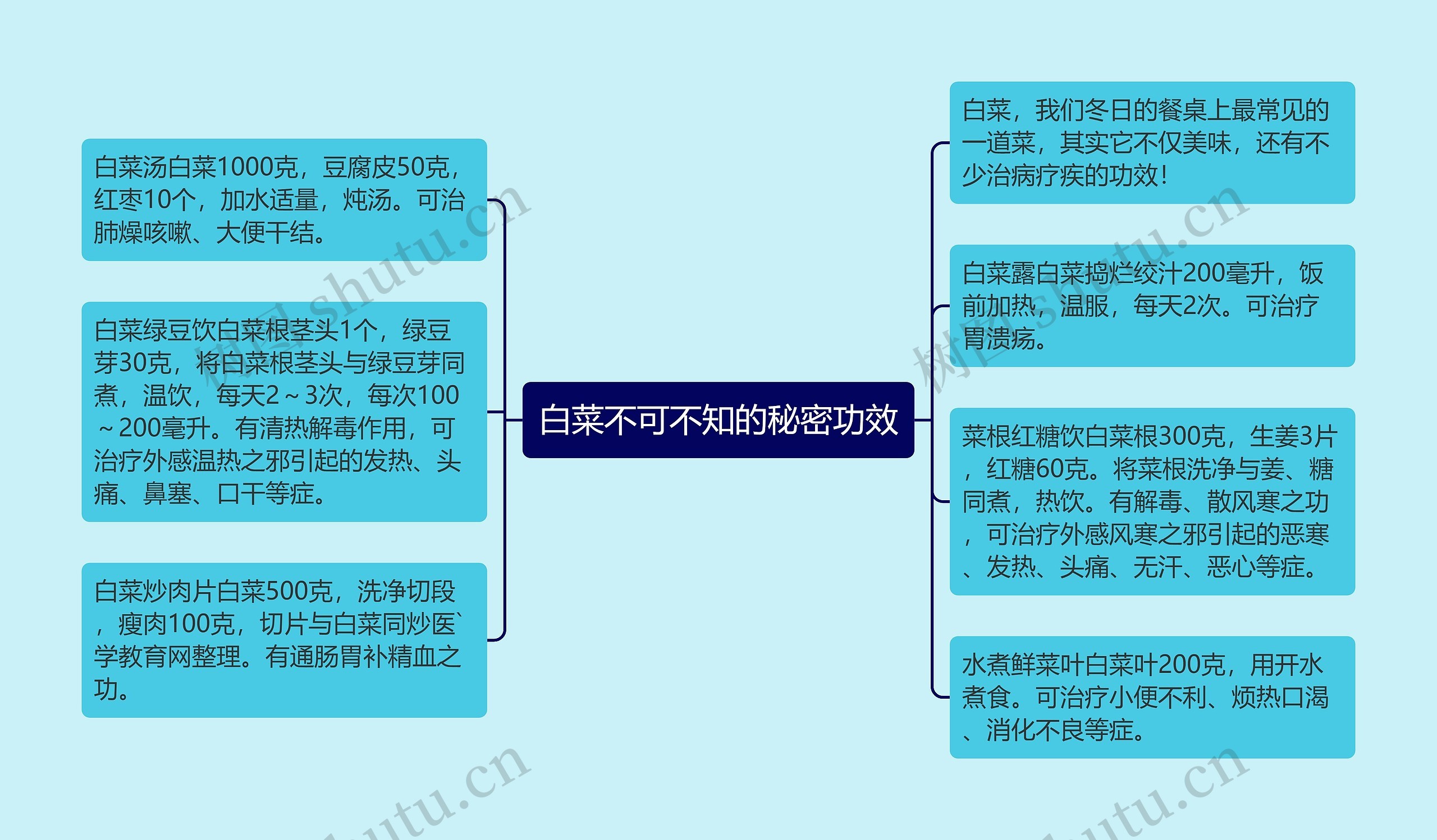 白菜不可不知的秘密功效思维导图